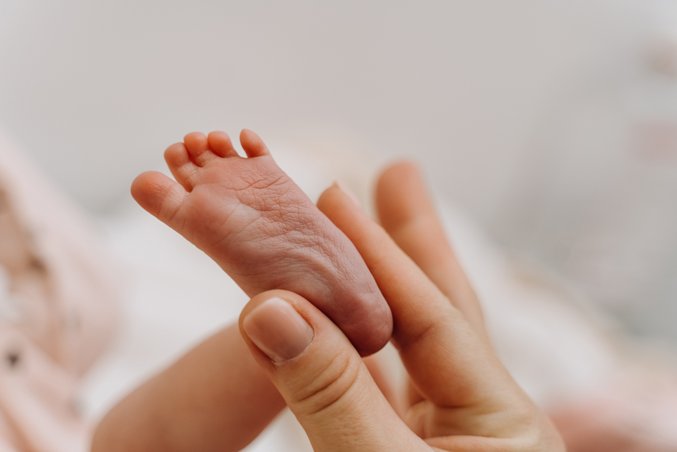 Выписка. Фотограф Ларионова Надежда|Ставрополь