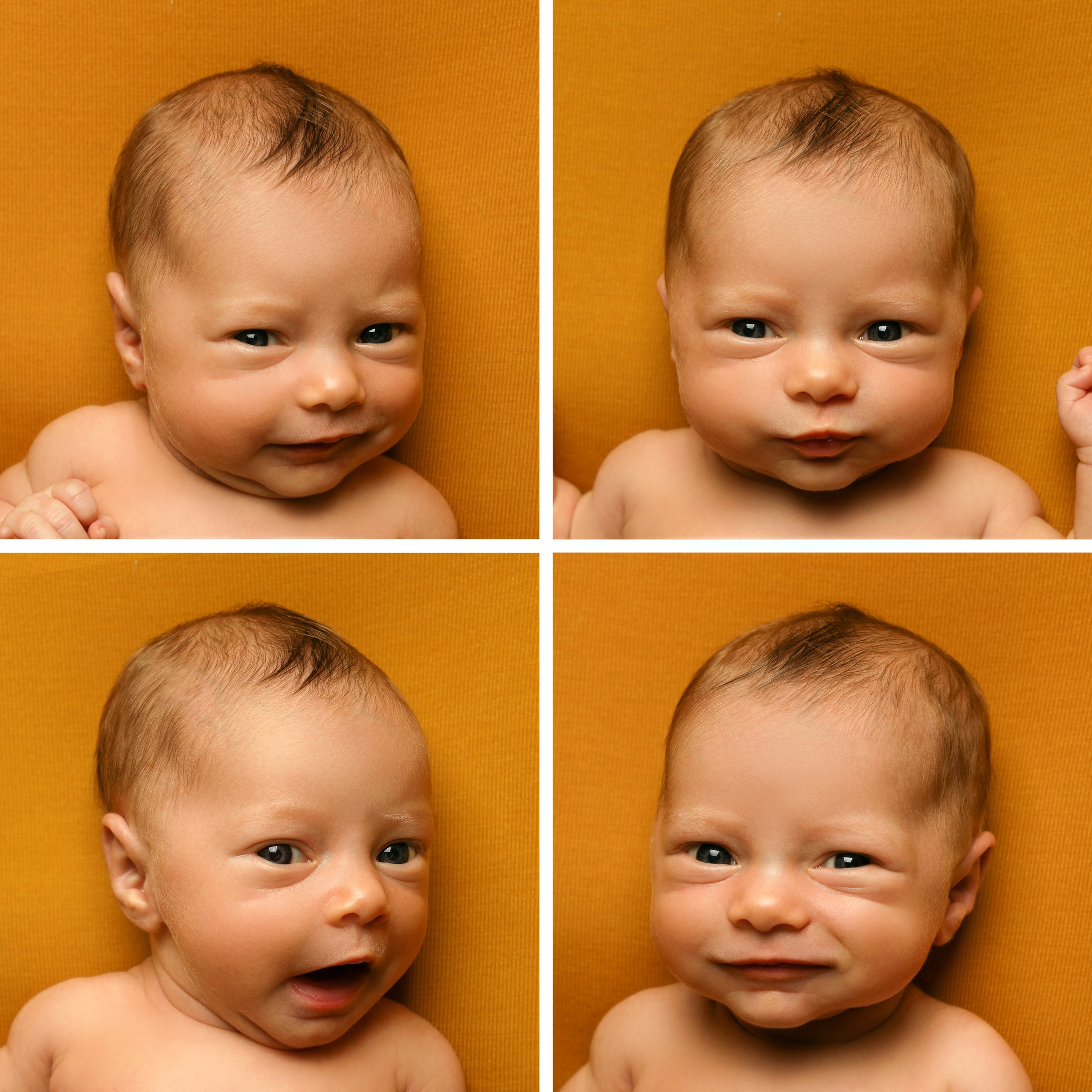 фотосессии новорожденных великий новгород