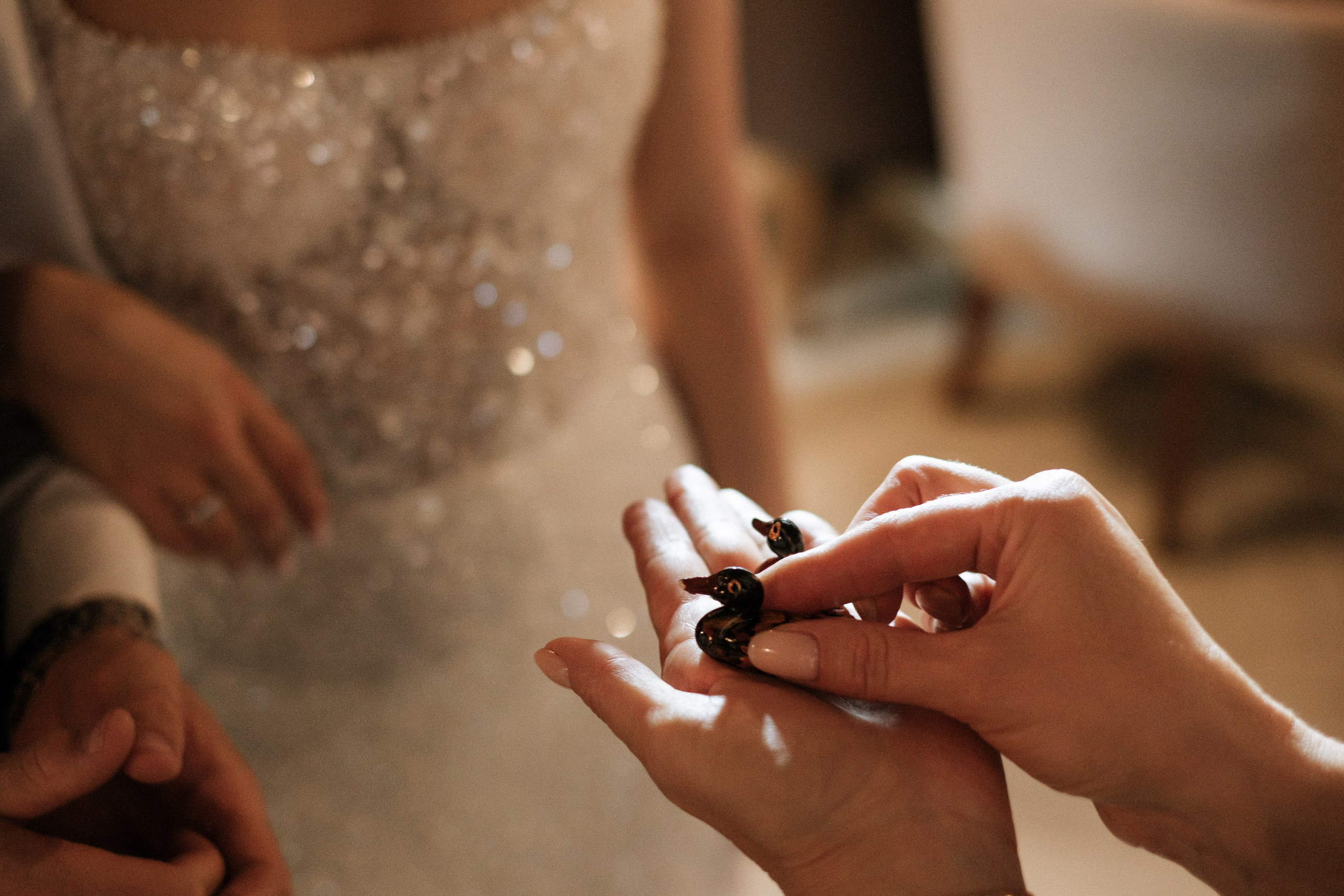 Алексей и Вероника. Свадебный и семейный фотограф в Волгограде Кристина Иванова