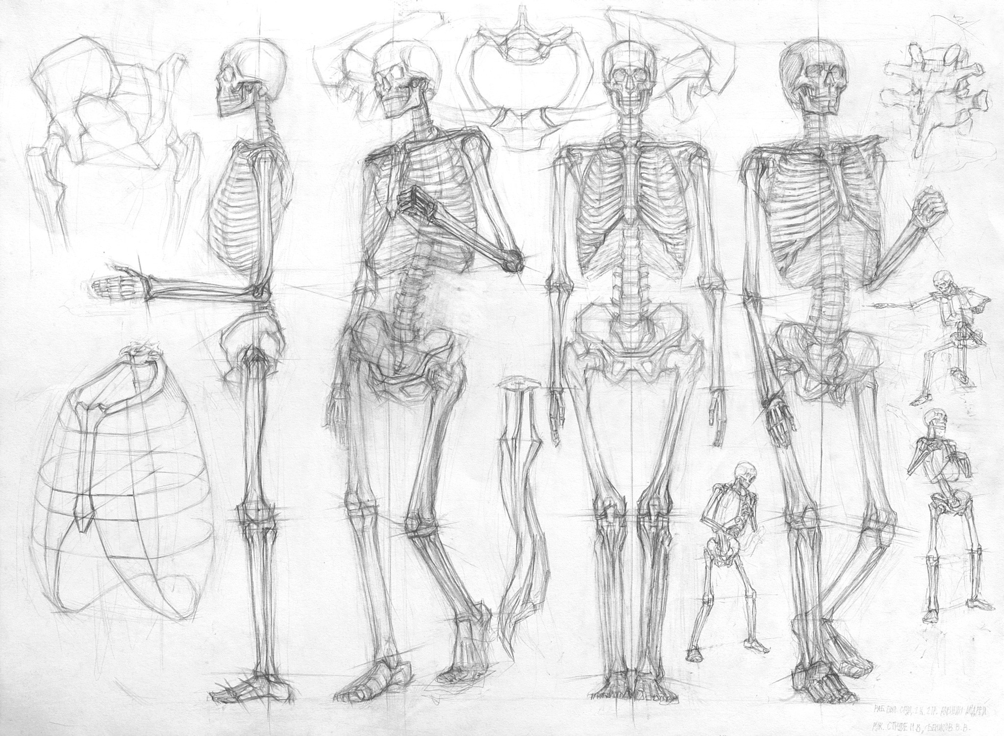 Алёшин Андрей. II курс