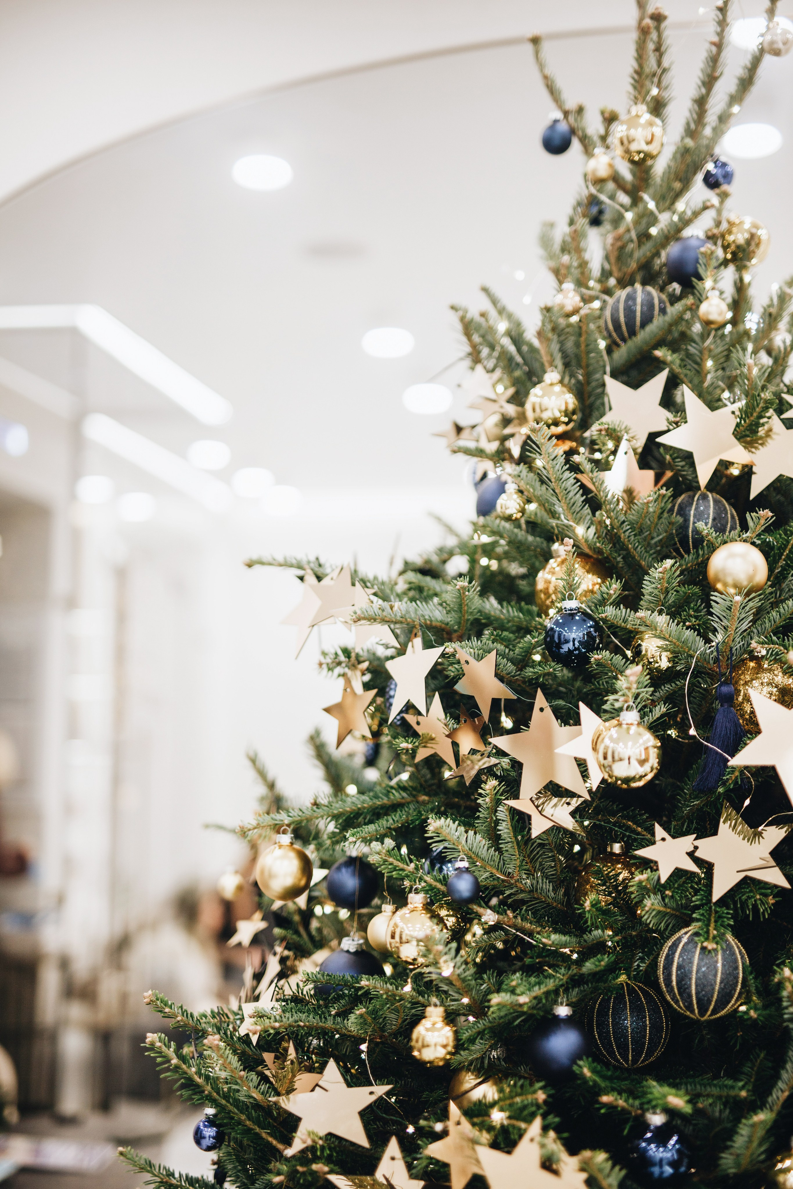 Тисс 2023. Ксения Почтарь. Декоратор и флорист, город Владивосток