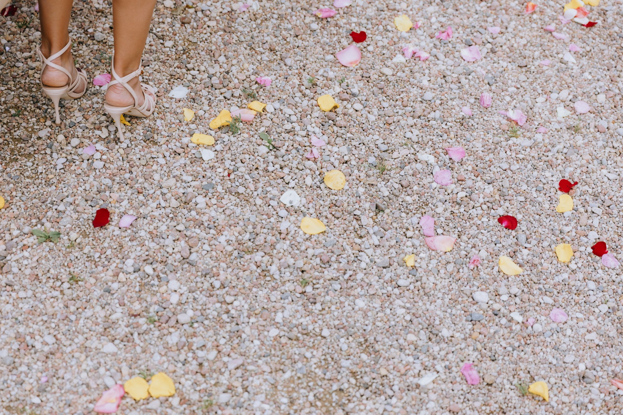 Ира и Саша (полный день). Свадебные фотографы в Гомеле и Минске Сергей и Анастасия Фещенок