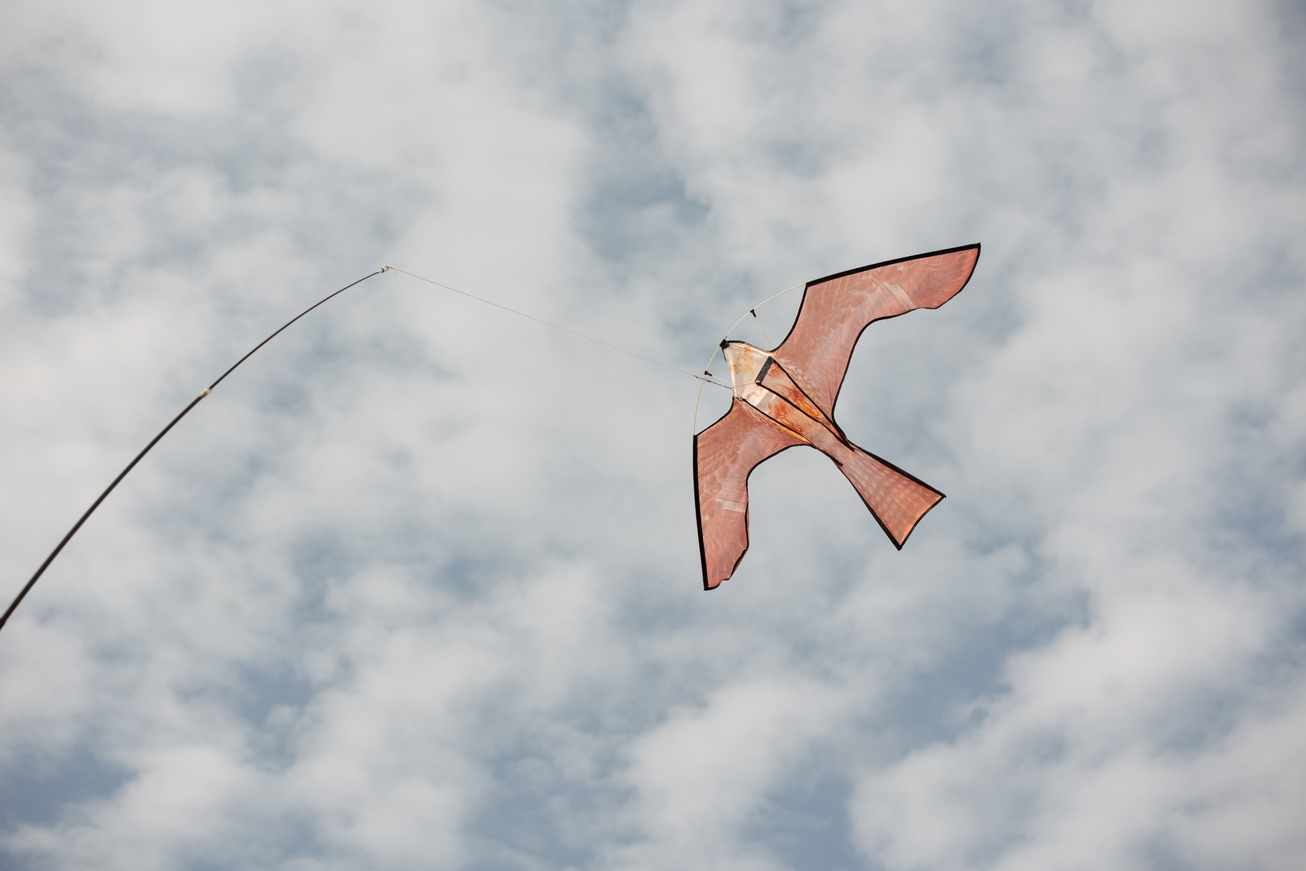 Семейная гонка. Яхты. Репортажный фотограф. Москва. Алина Ланская