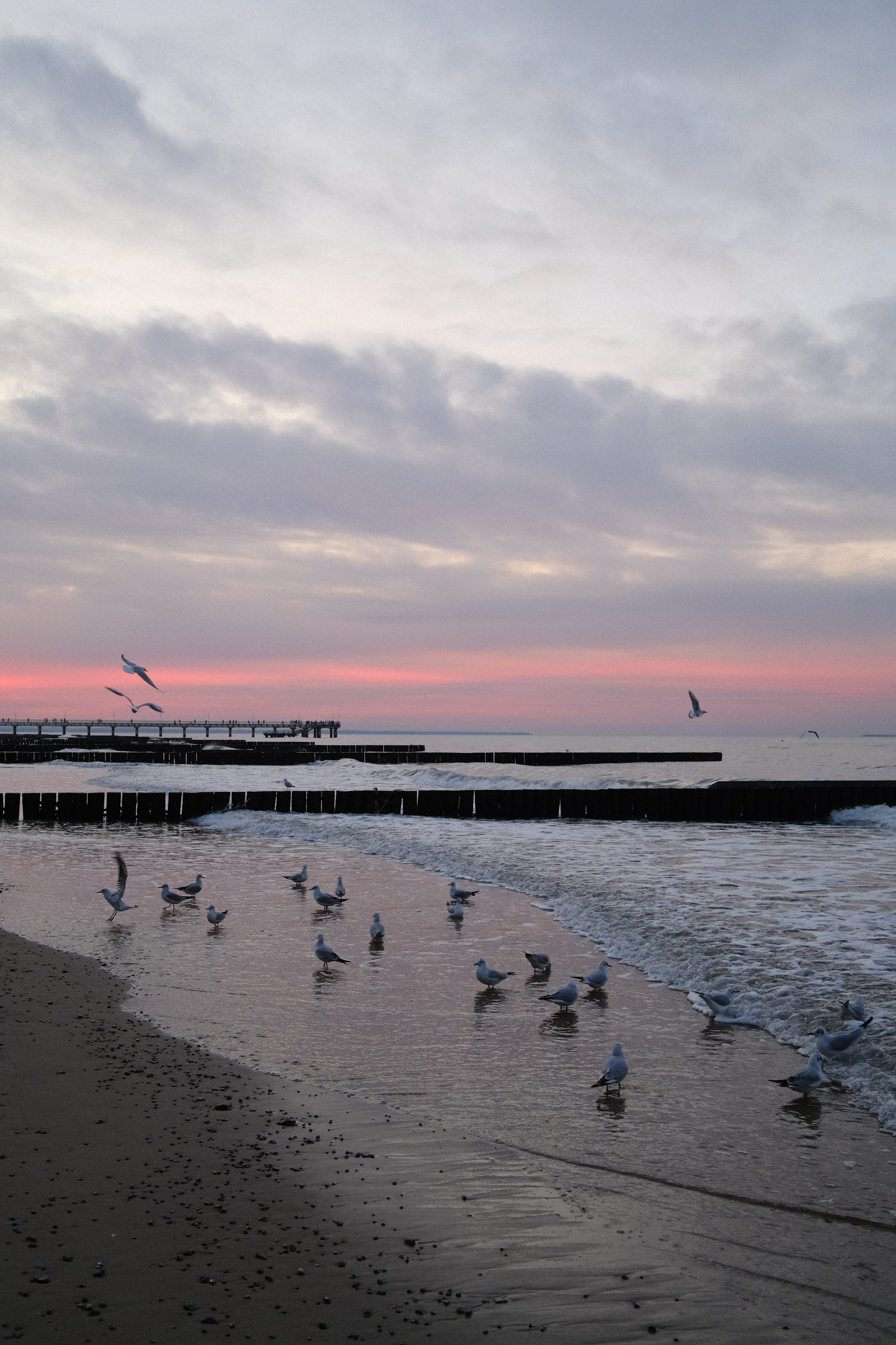 Зеленоградск. Калининградская область. Алексей Торопов фотограф