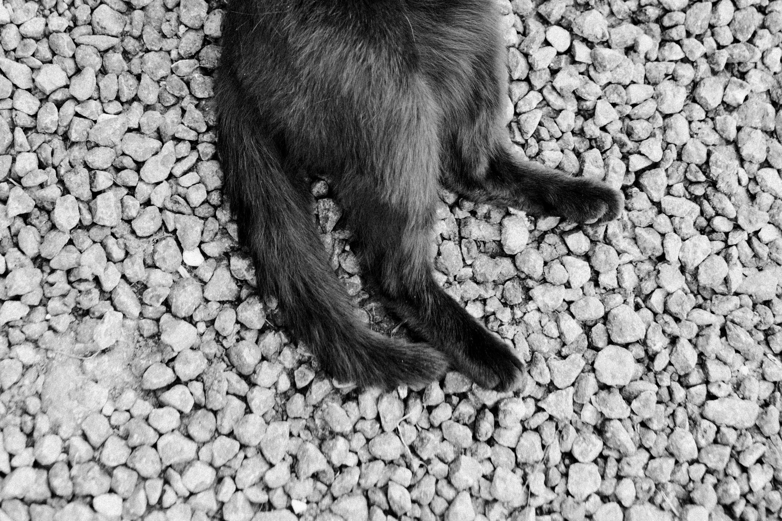 Юля и Егор. Репортажный и портретный фотограф во Владимире Сергей Кравцов