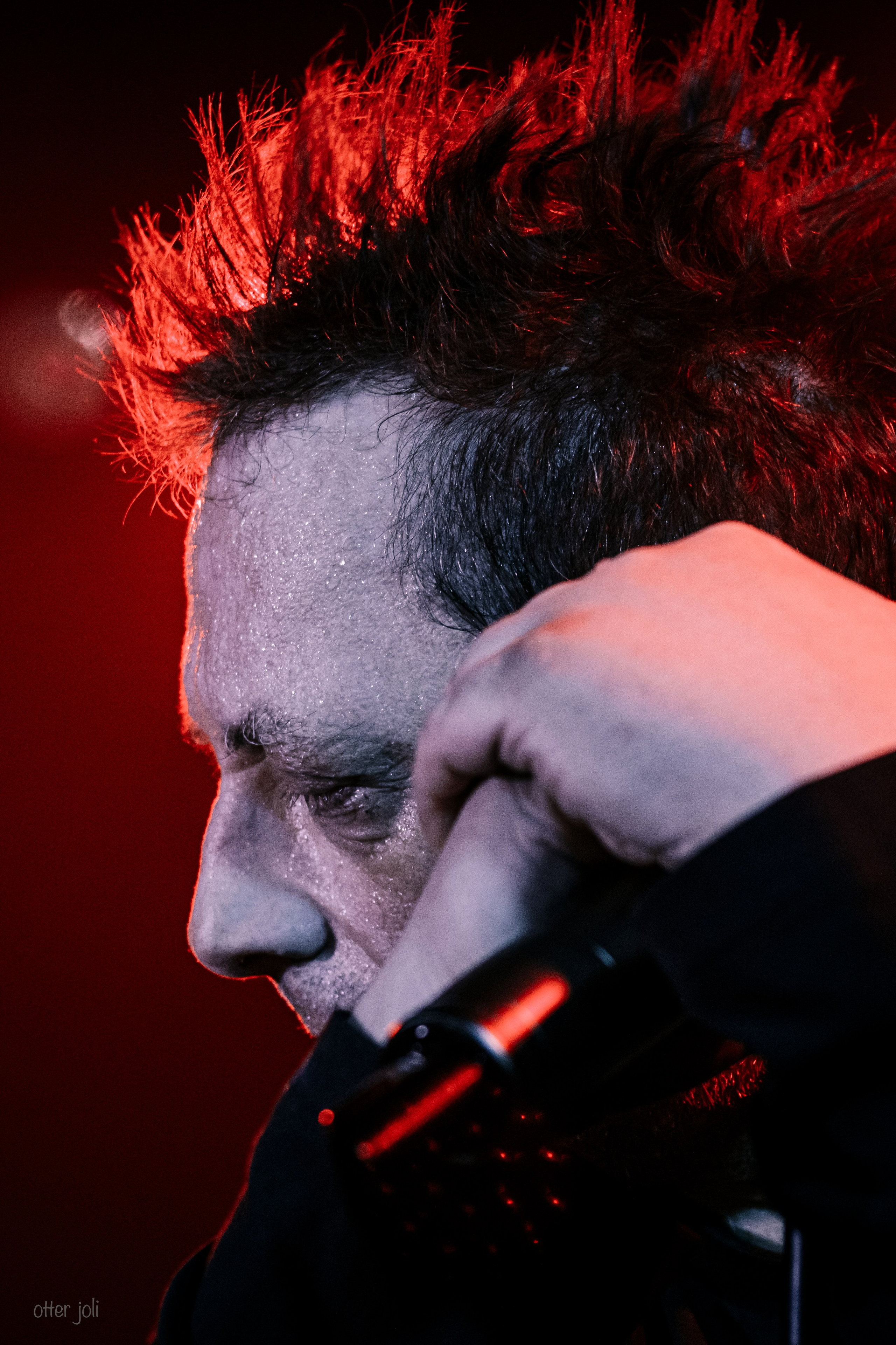 Глеб Самойлов. Концертный репортёр Валерия Сафина