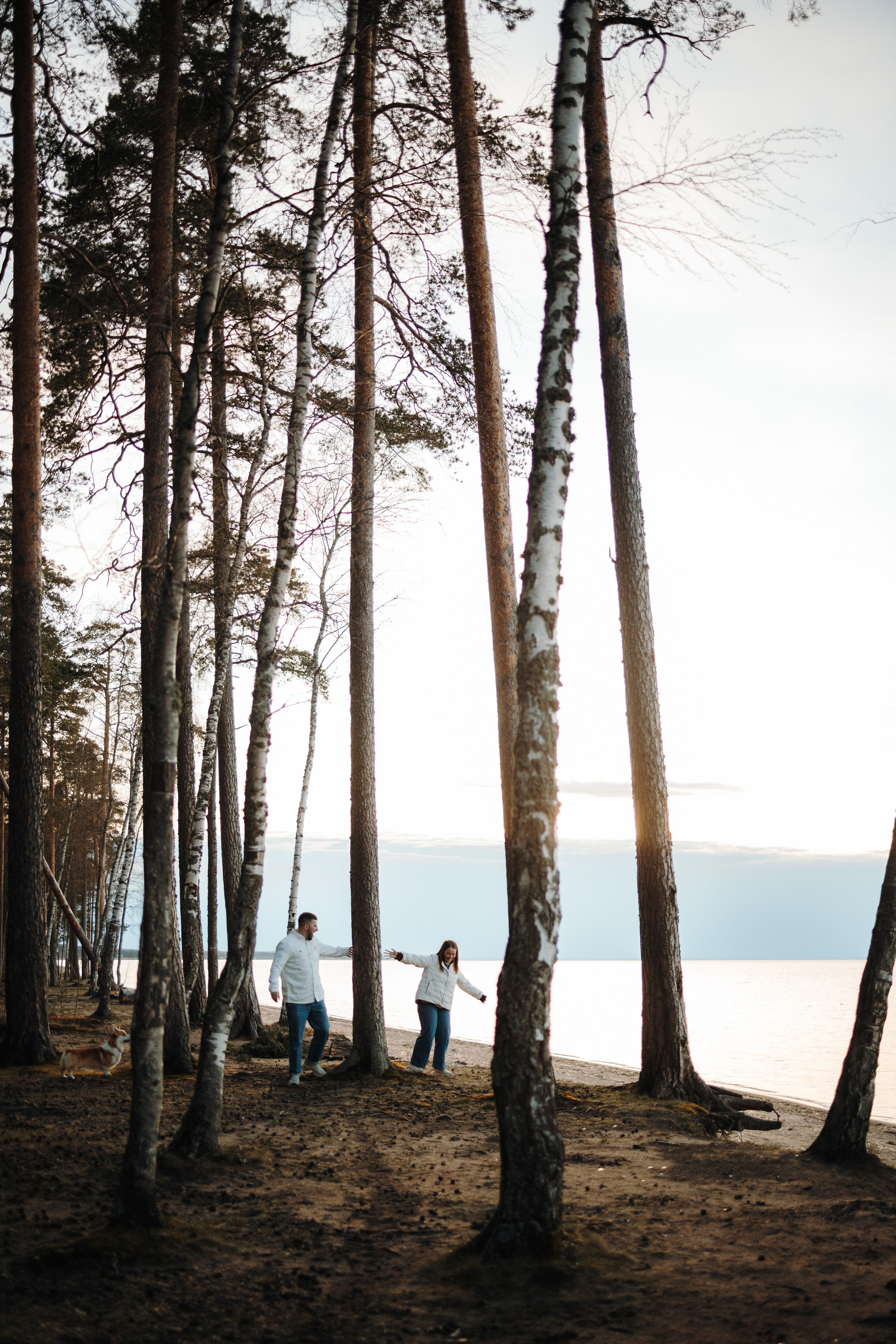 Найт и его семья. Фотограф — Анималист | Санкт-Петербург