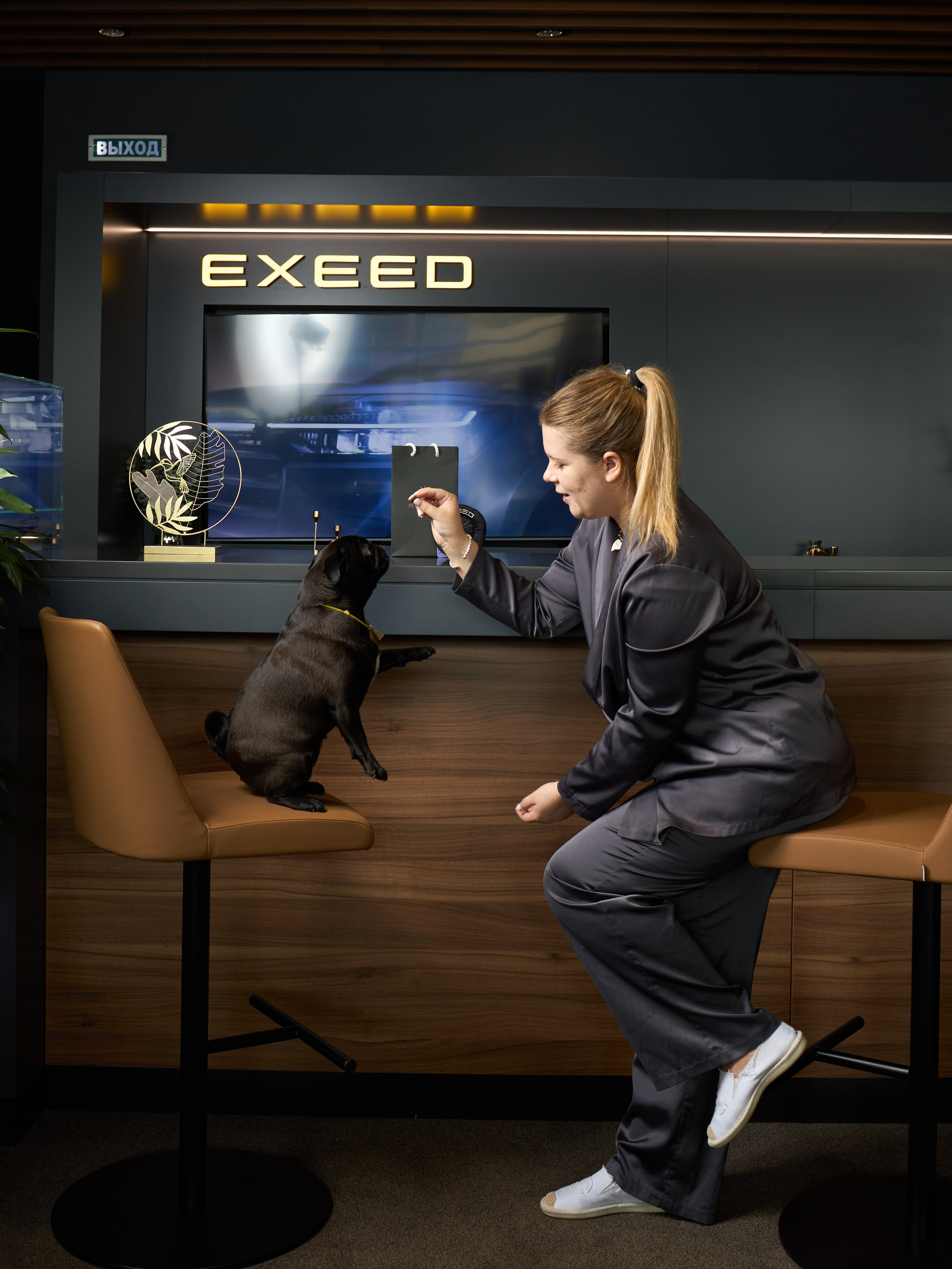 Exeed Pet friendly. Фотограф Михаил Стенин