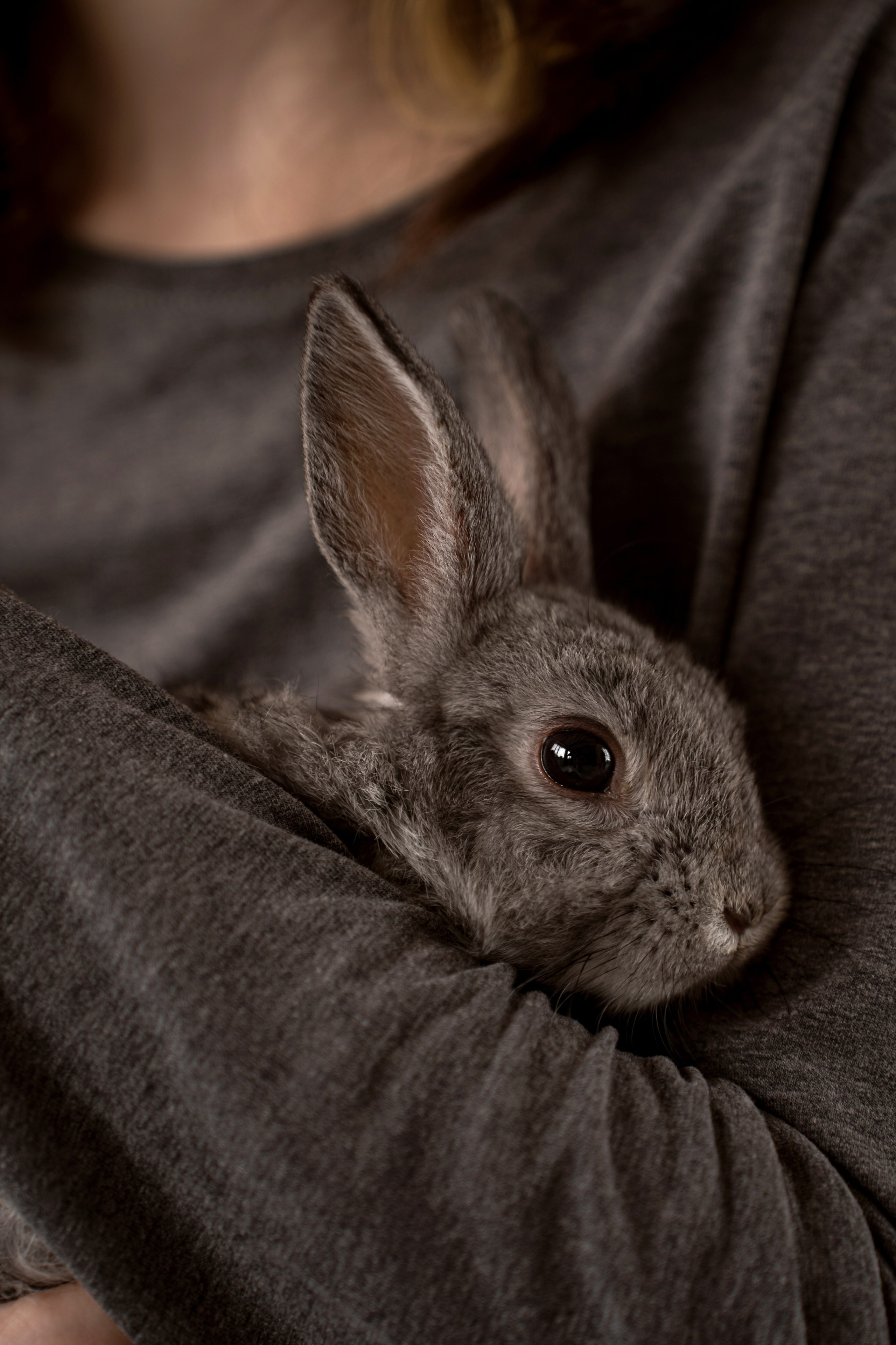 Дети и кролики. Главная