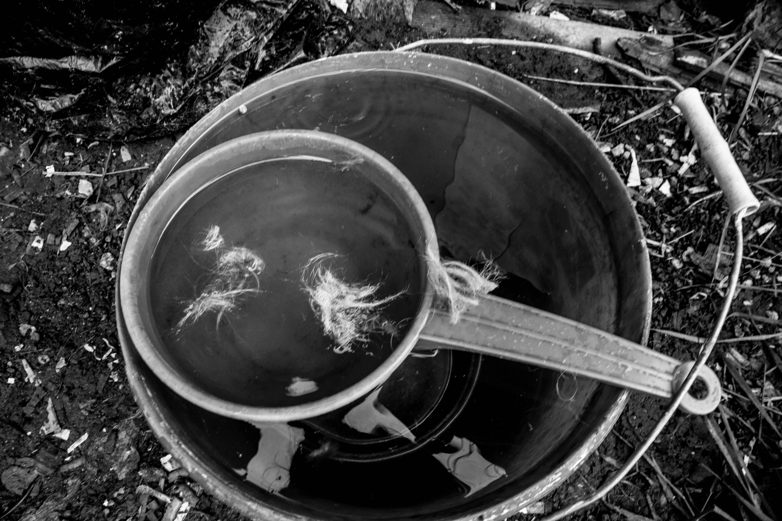 Стрижка пса Кеши. Photo_artist