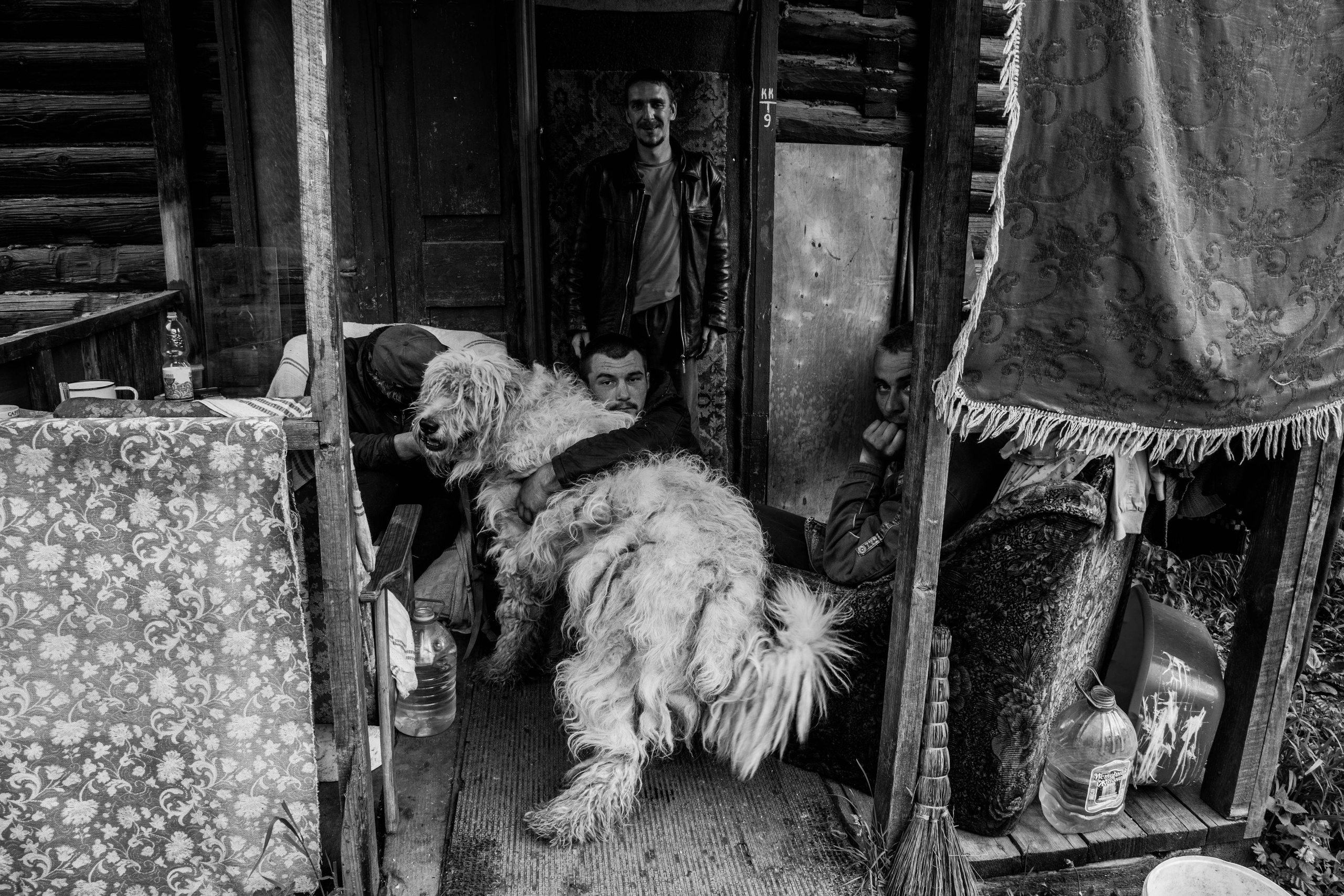 Стрижка пса Кеши. Photo_artist