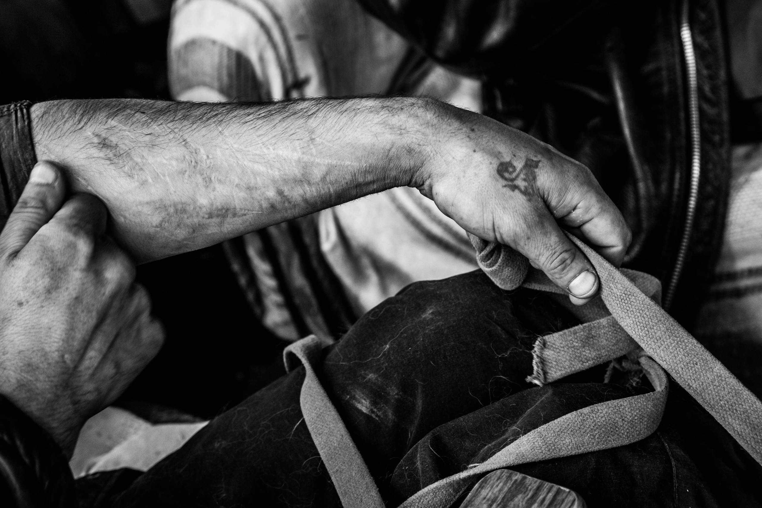 Стрижка пса Кеши. Photo_artist