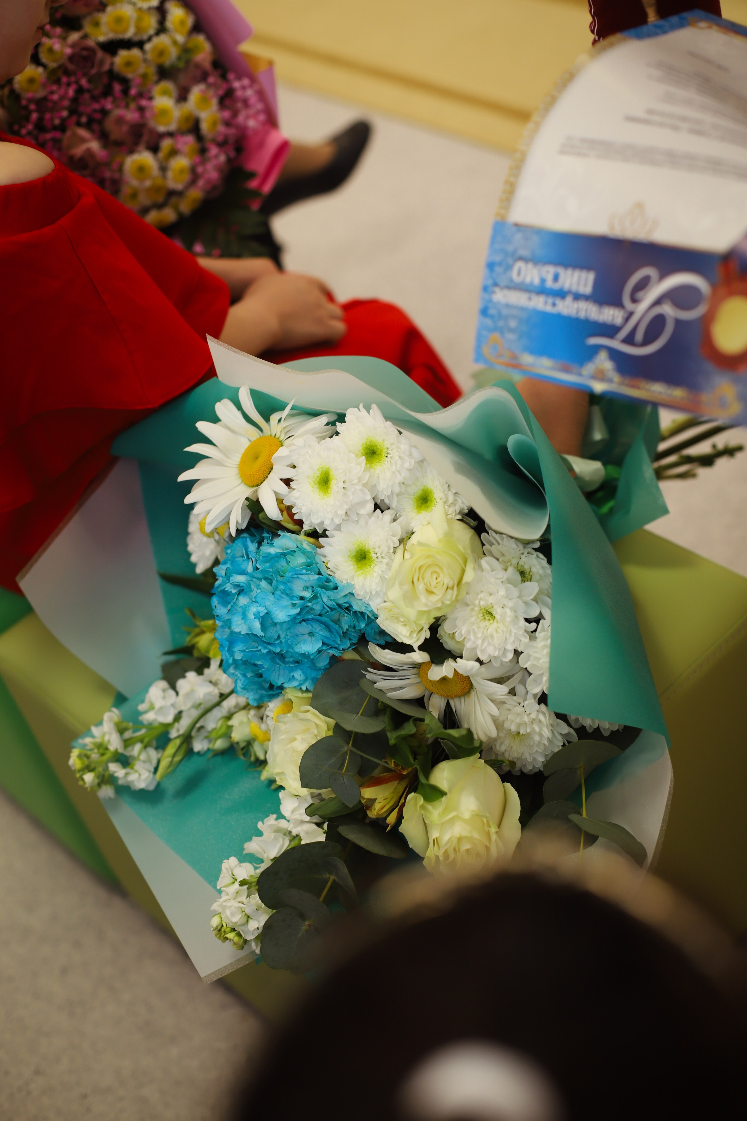 Выпуск 25. Ilopavlova_ph