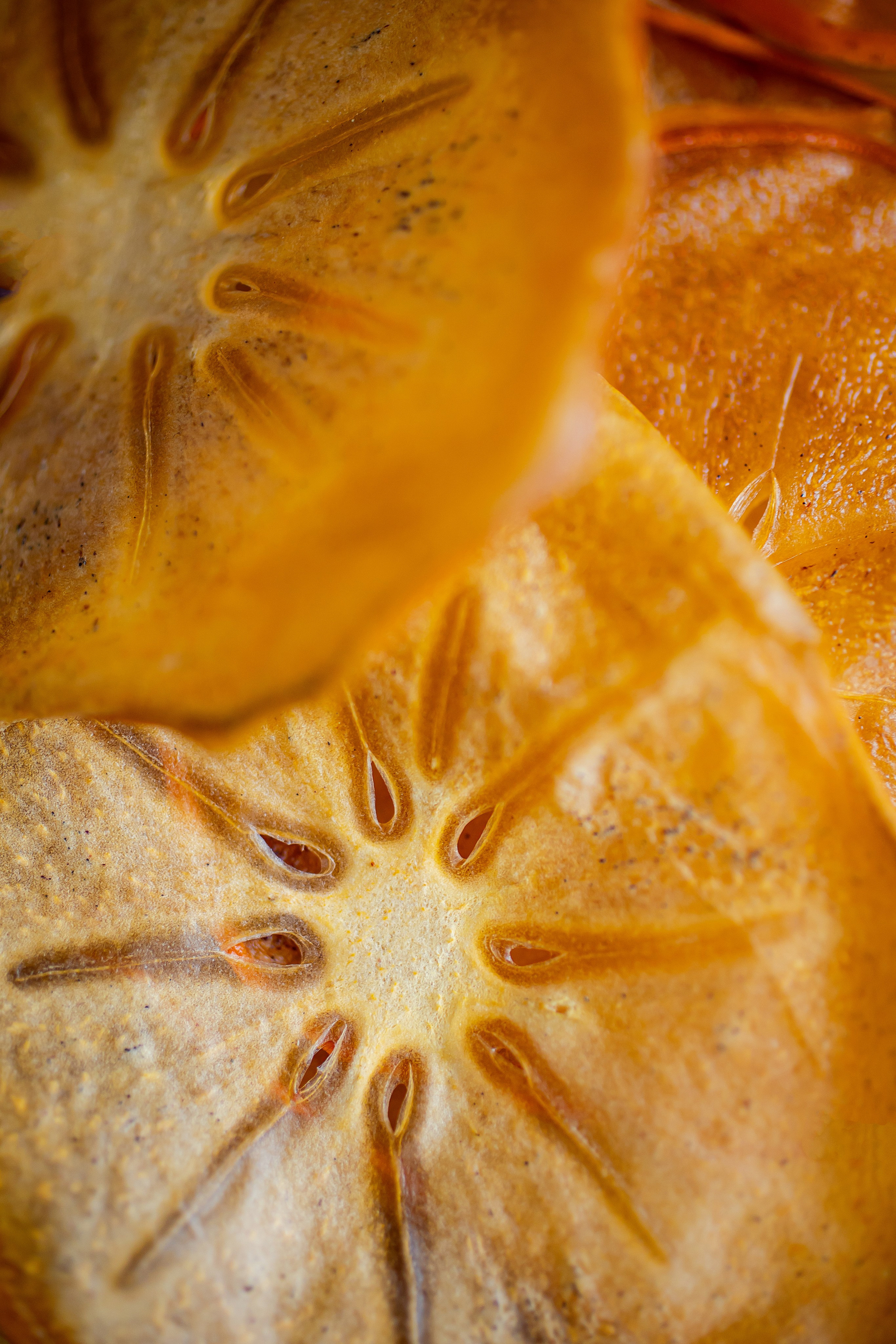 LEVELS. Фотограф Агеева Мария