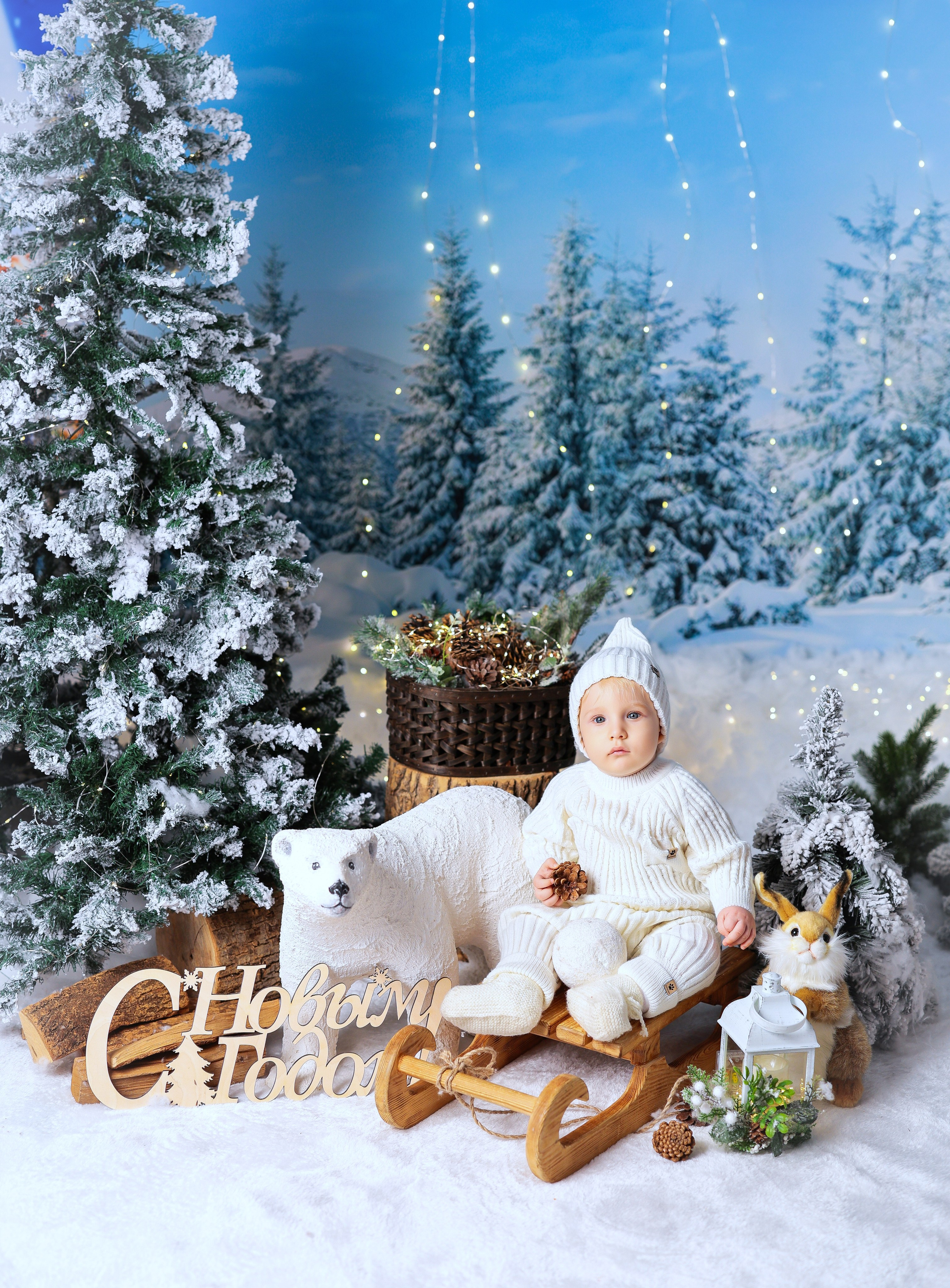 Антураж НОВЫЙ ГОД 2025