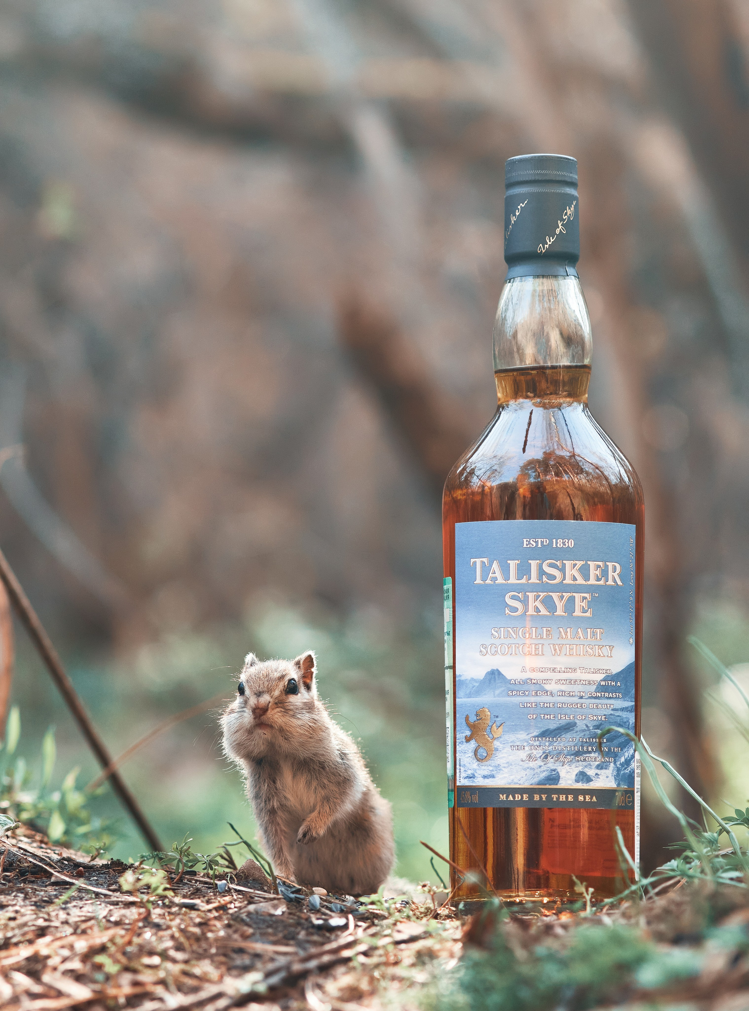 Whisky. Семейный и репортажной фотограф в Красноярске и Москве Виктор Бабинцев