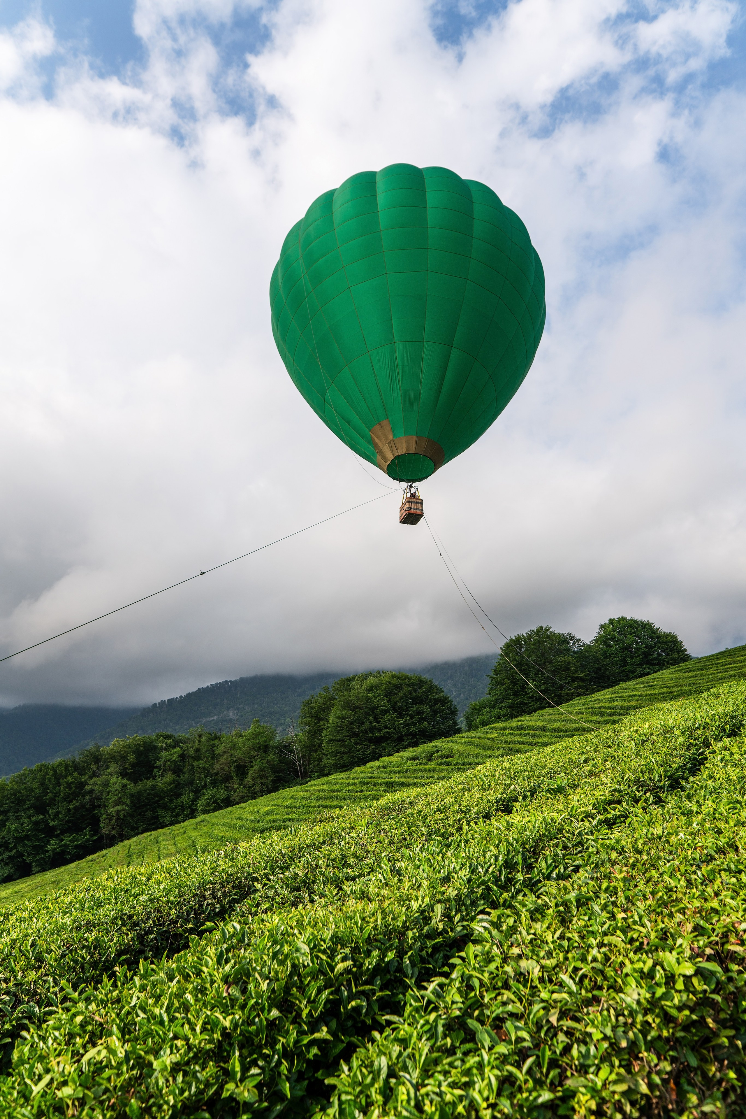 Фотограф на праздник Сочи. Фотограф Сочи