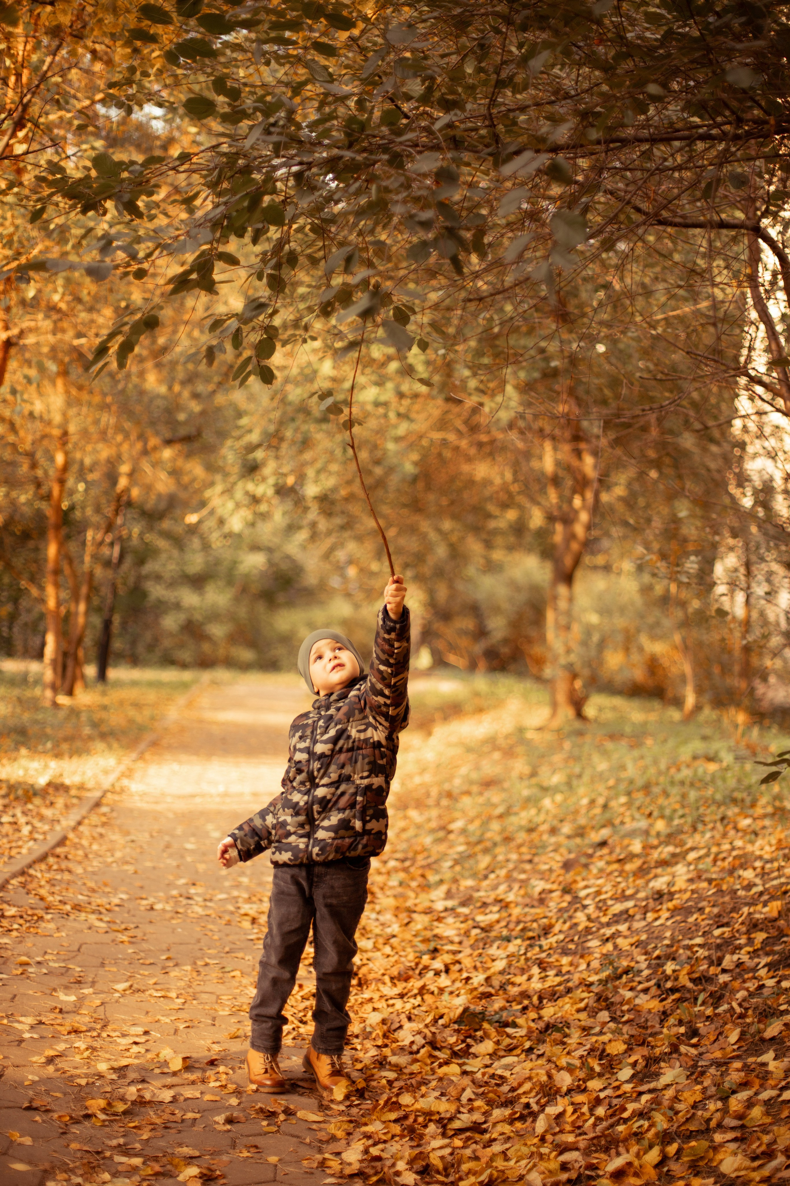 Фотосессия мальчика осенью. Семейный фотограф в г. Видное Дрынова Вера