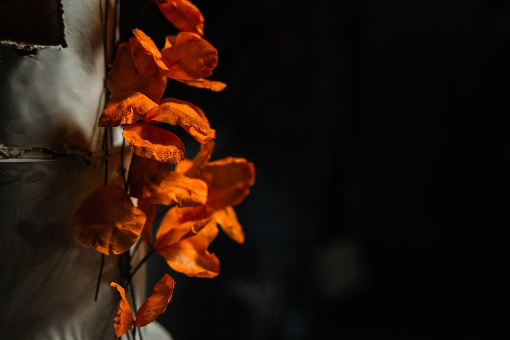 Евгений и Анастасия. Свадебный фотограф в Москве и Санкт-Петербурге Анастасия Мирославская