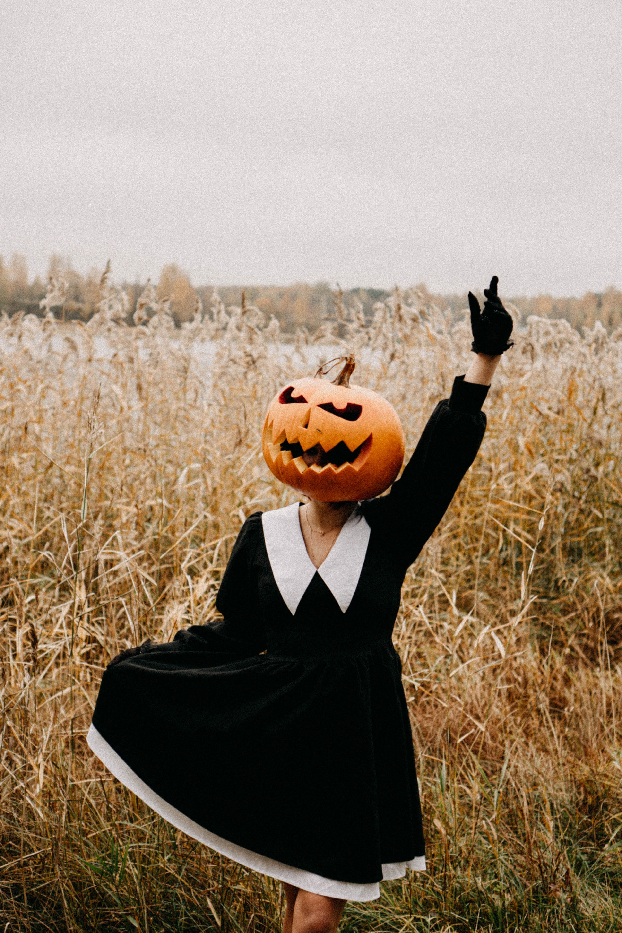 Осеняя. Профессиональный фотограф, Санкт-Петербург — Виктория Богомолова