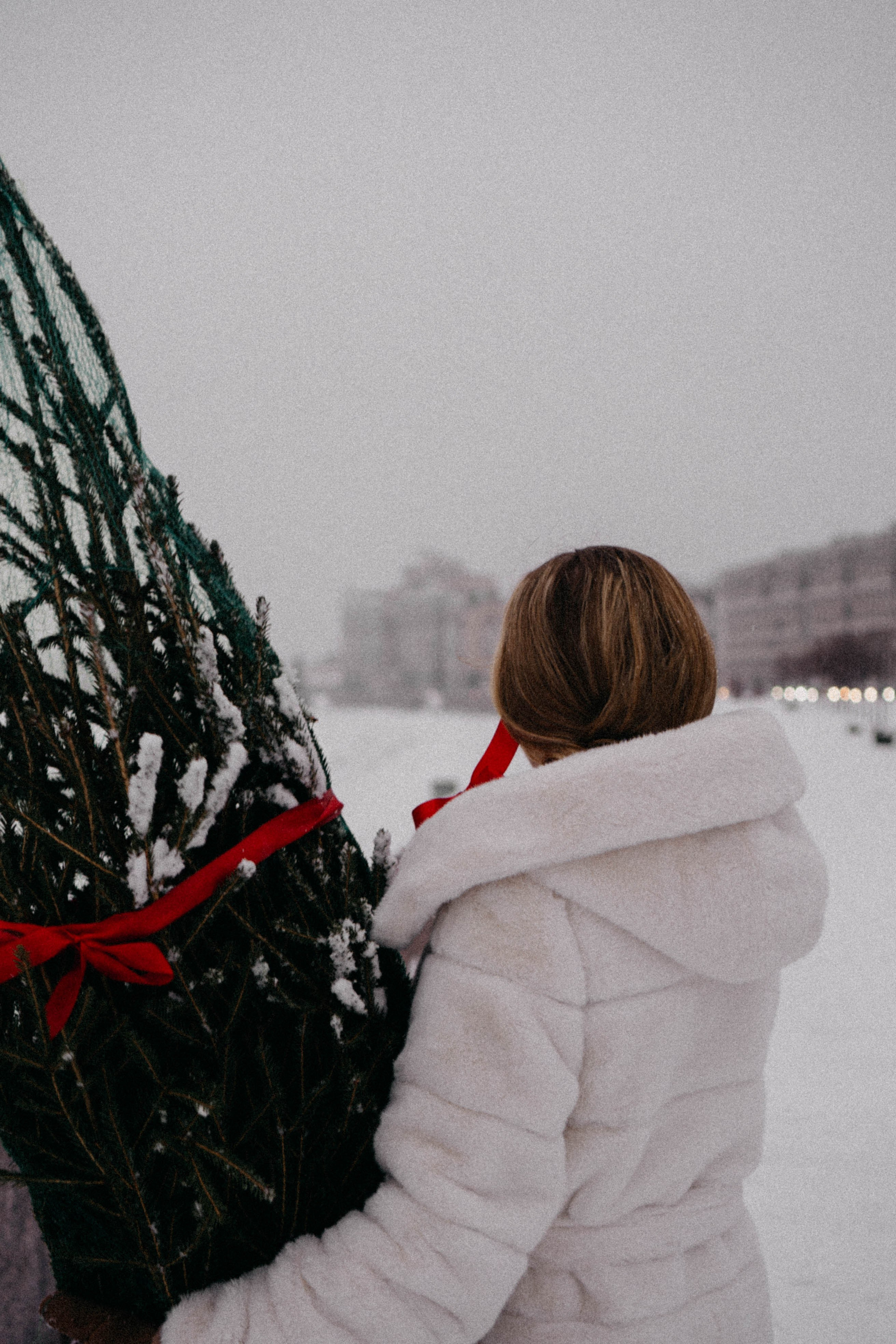 Новогодняя. Профессиональный фотограф, Санкт-Петербург — Виктория Богомолова