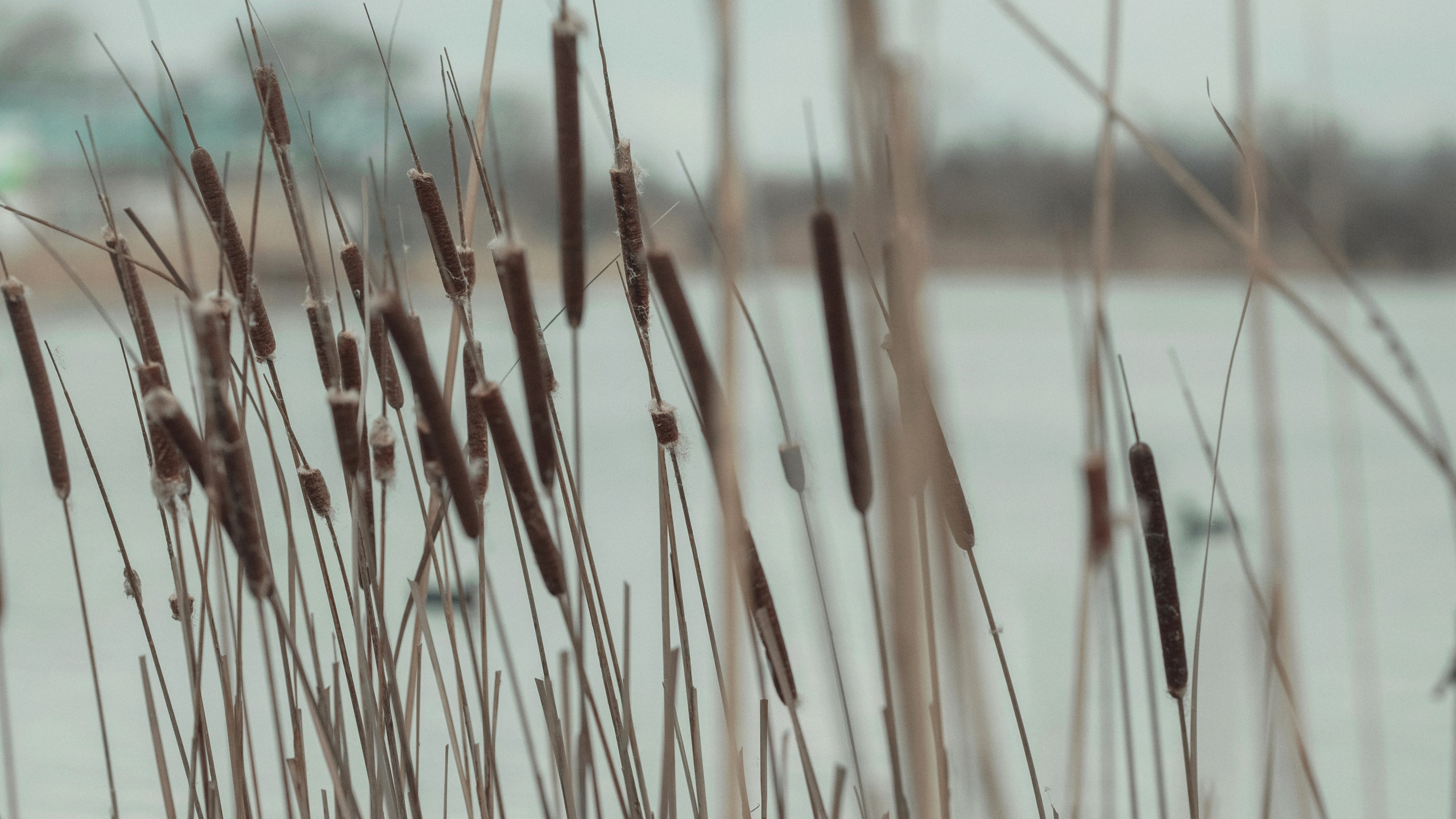 Книголюбы. Фотограф и Видеограф Артур Гимаев