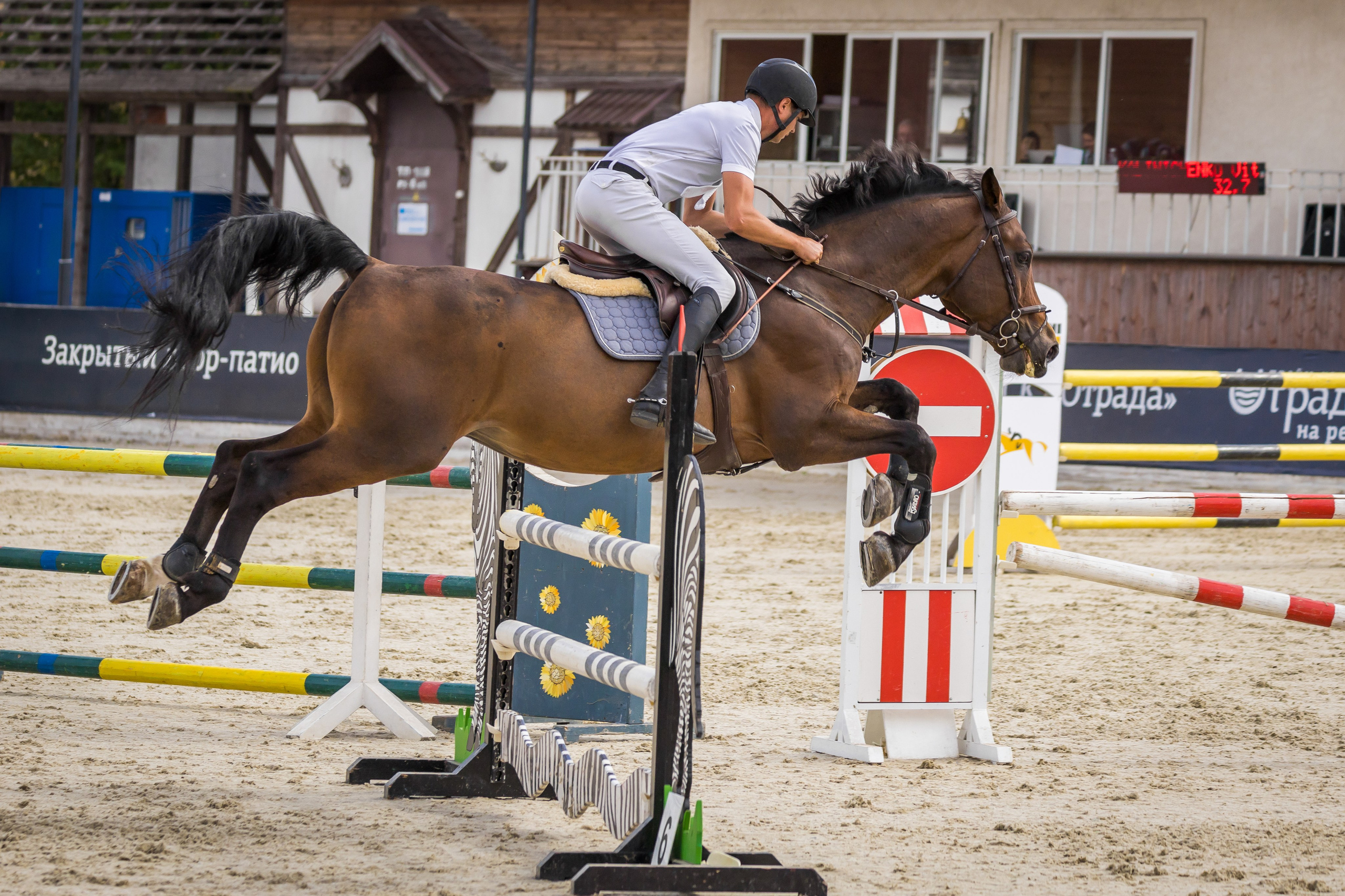 Конный спорт. Photomantis