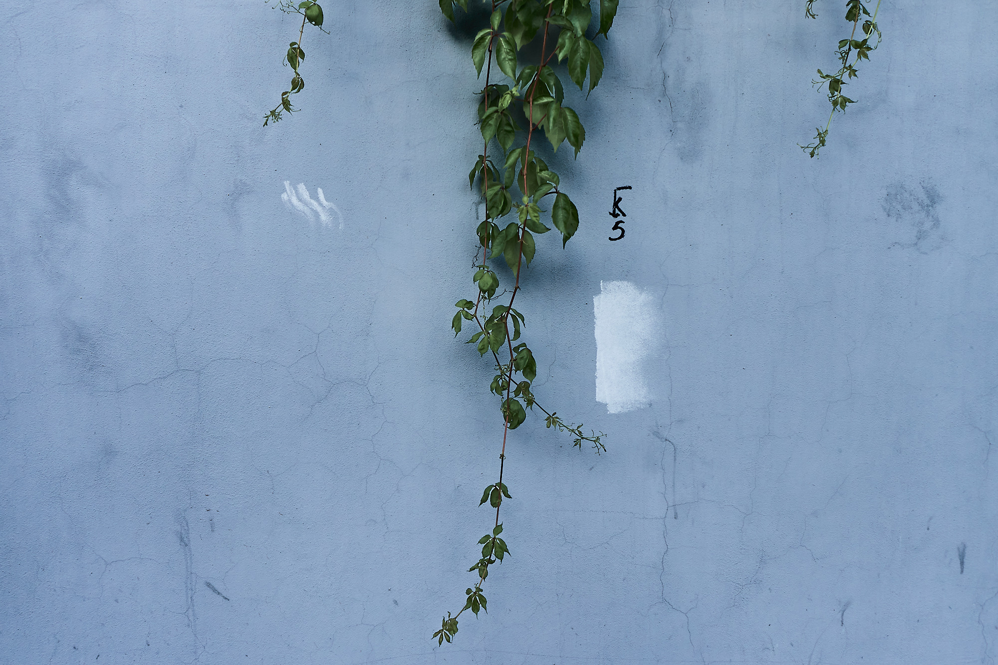 Urban. Евгений Рыжов