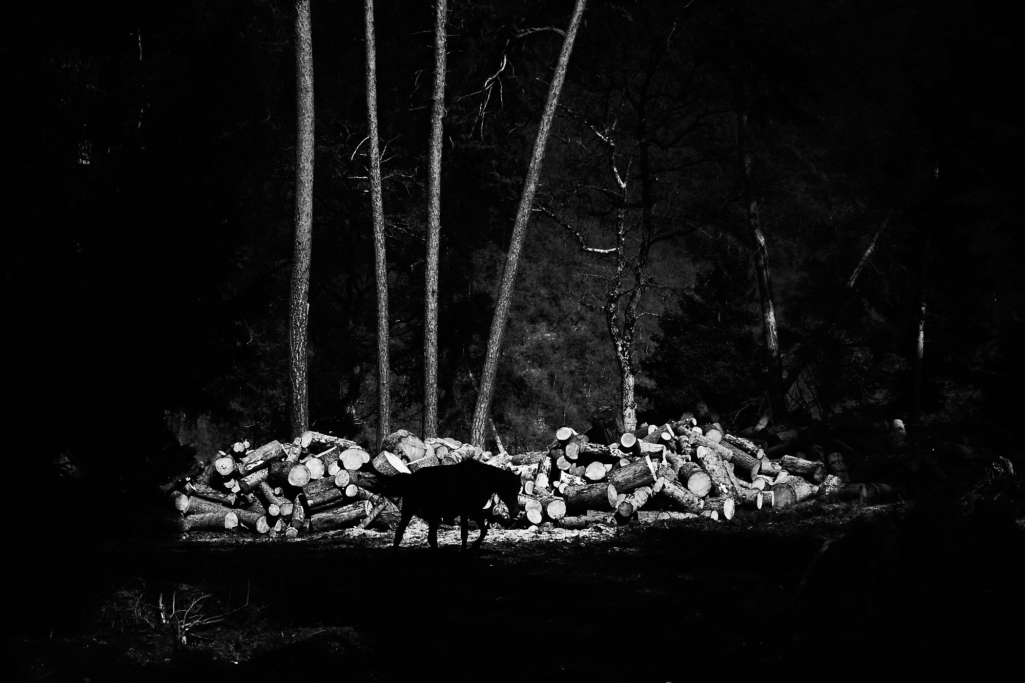 Urban. Евгений Рыжов