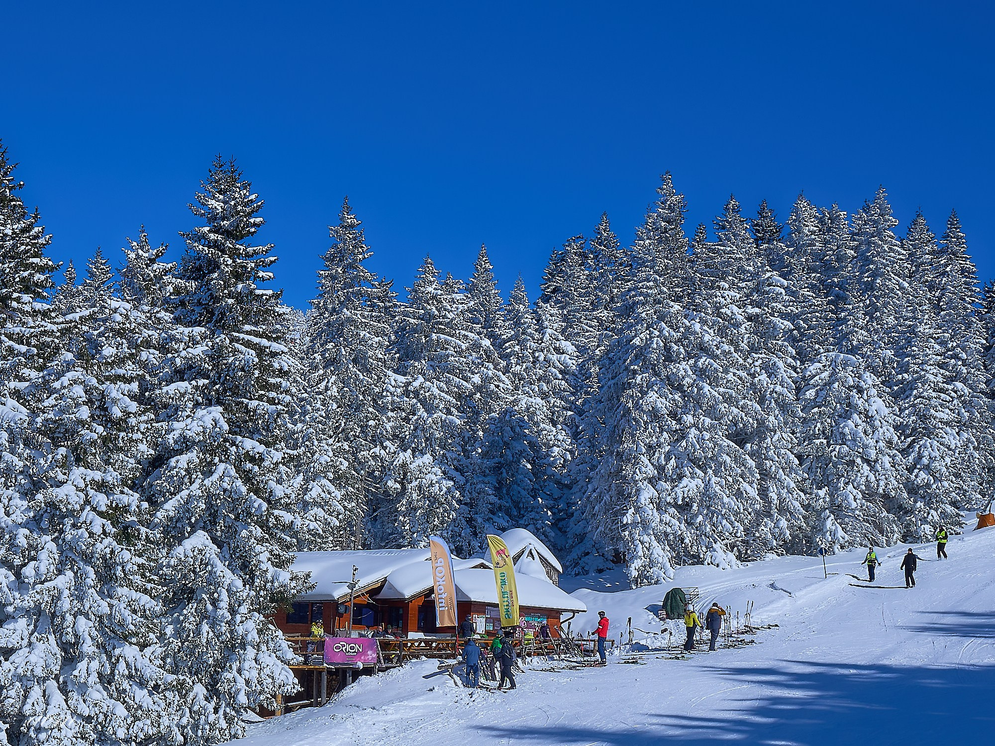 Капаоник-Белград Сербия Зима 2022. Фотограф Михеев Андрей