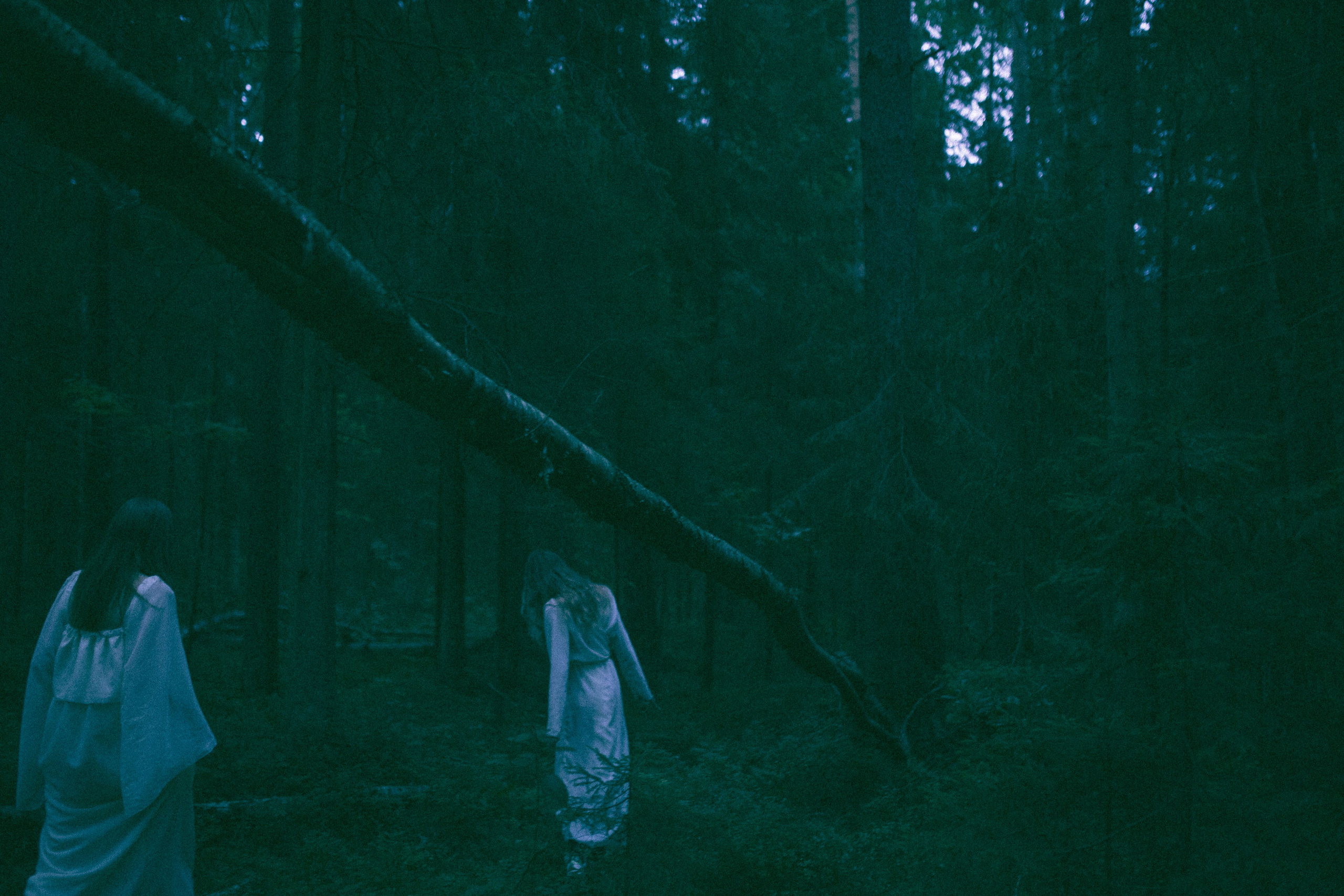 Пара девушек в белых платьях уходят в чащу леса