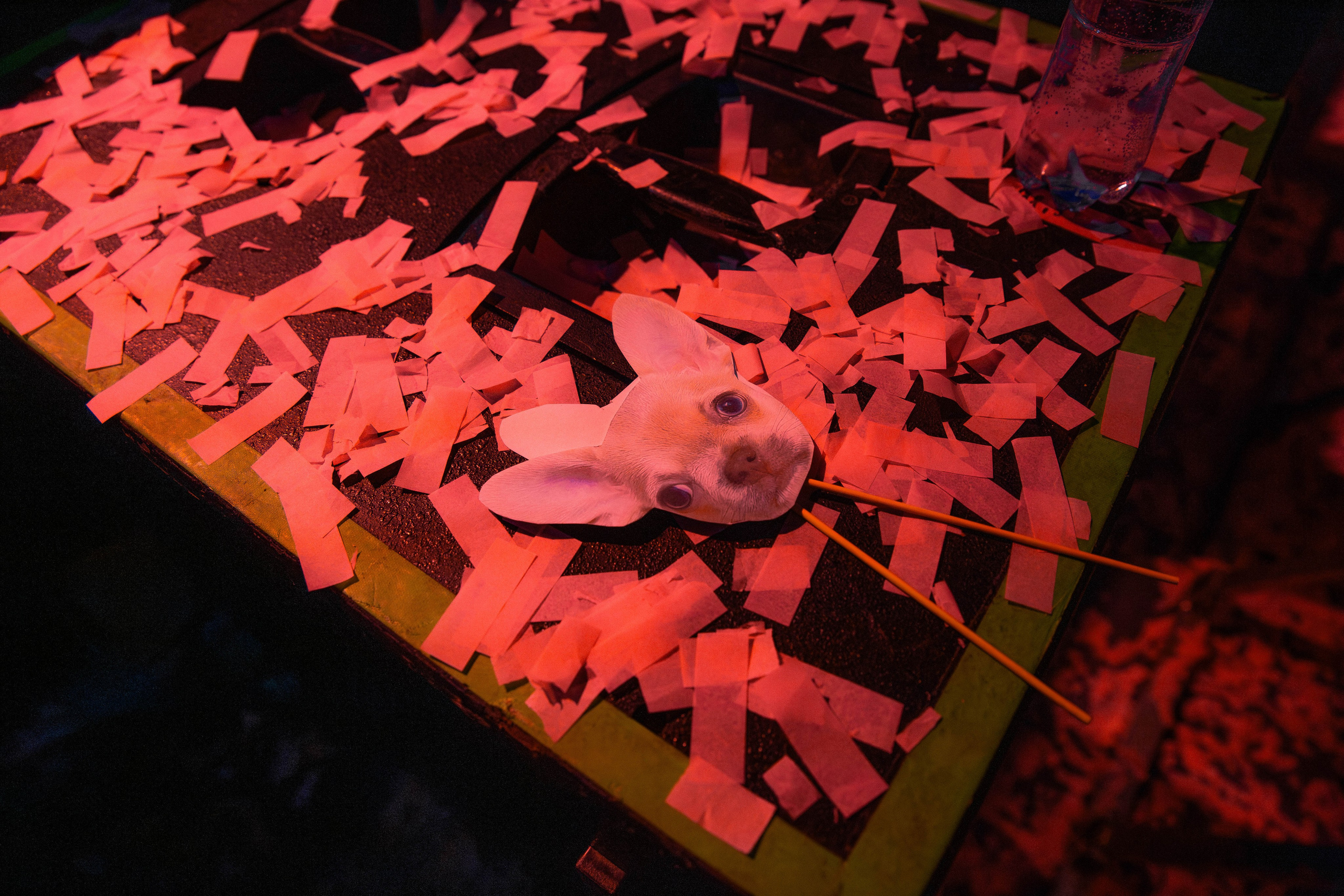 Алёна Швец | Aurora