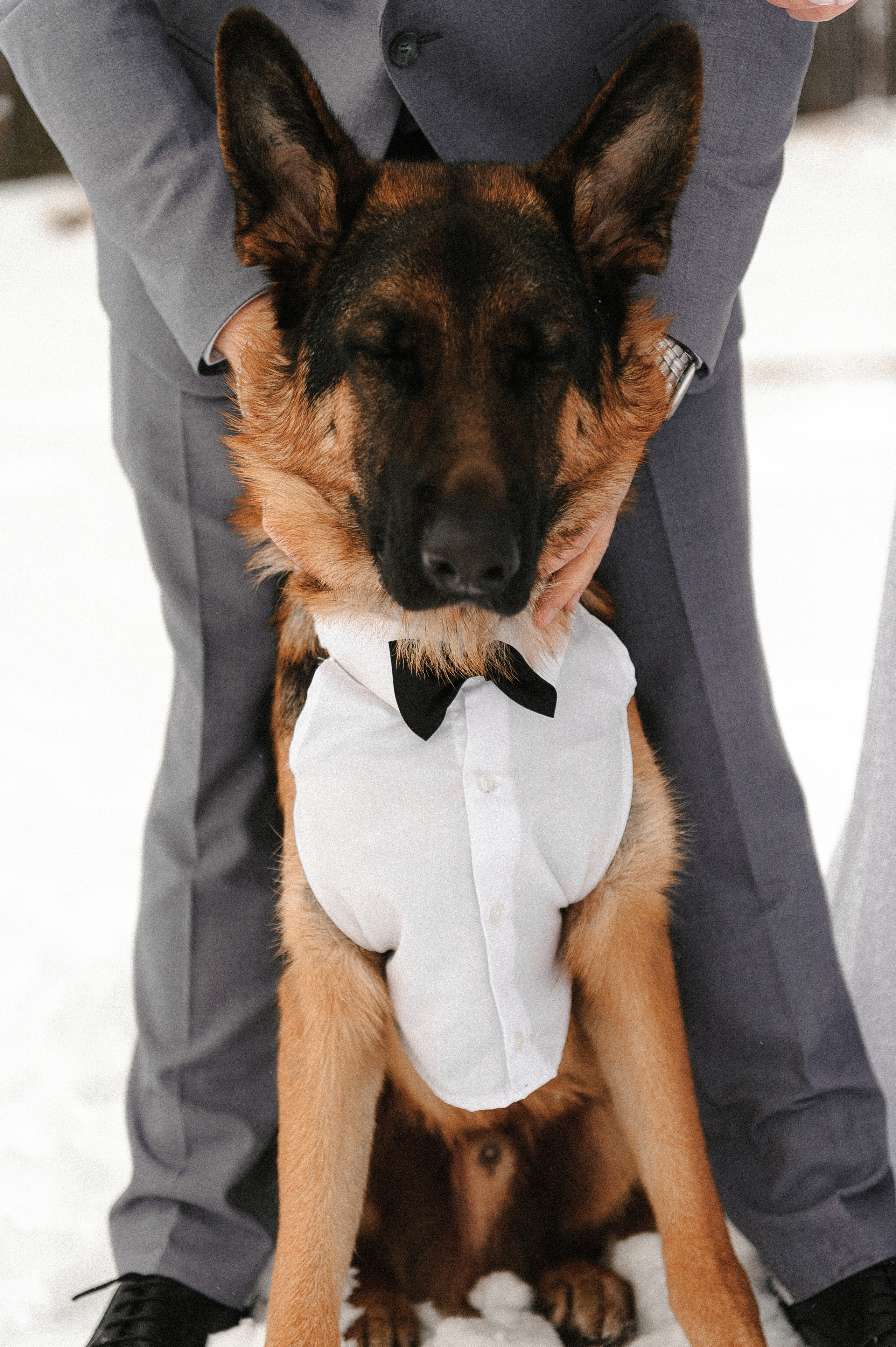 Яна и Гриша и BULLET. Свадебный фотограф в Ярославле и Москве Руслан Иософатов