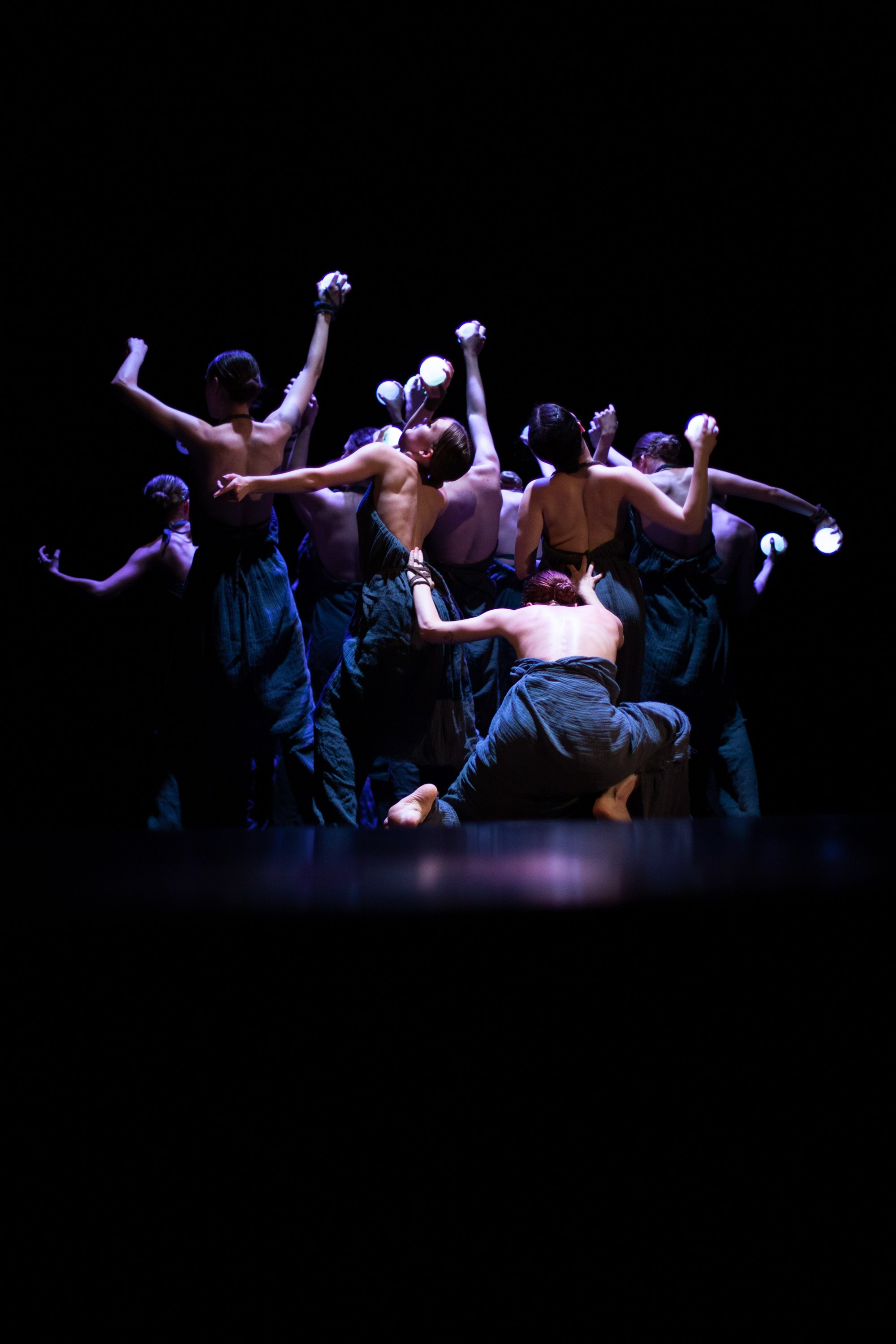 Концерты. Виолетта Скрипка