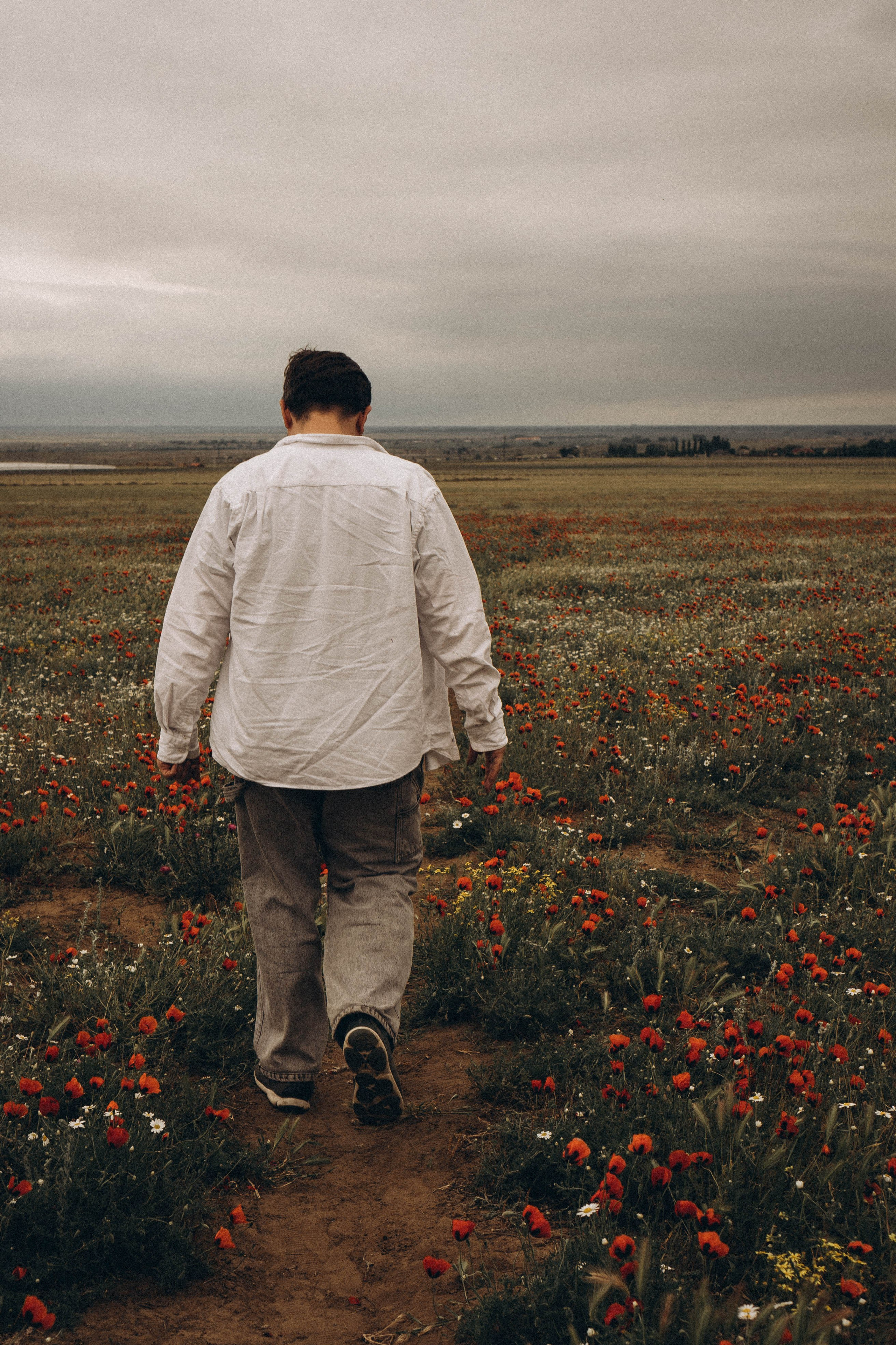 Маки. Профессиональный фотограф, Санкт-Петербург — Виктория Богомолова