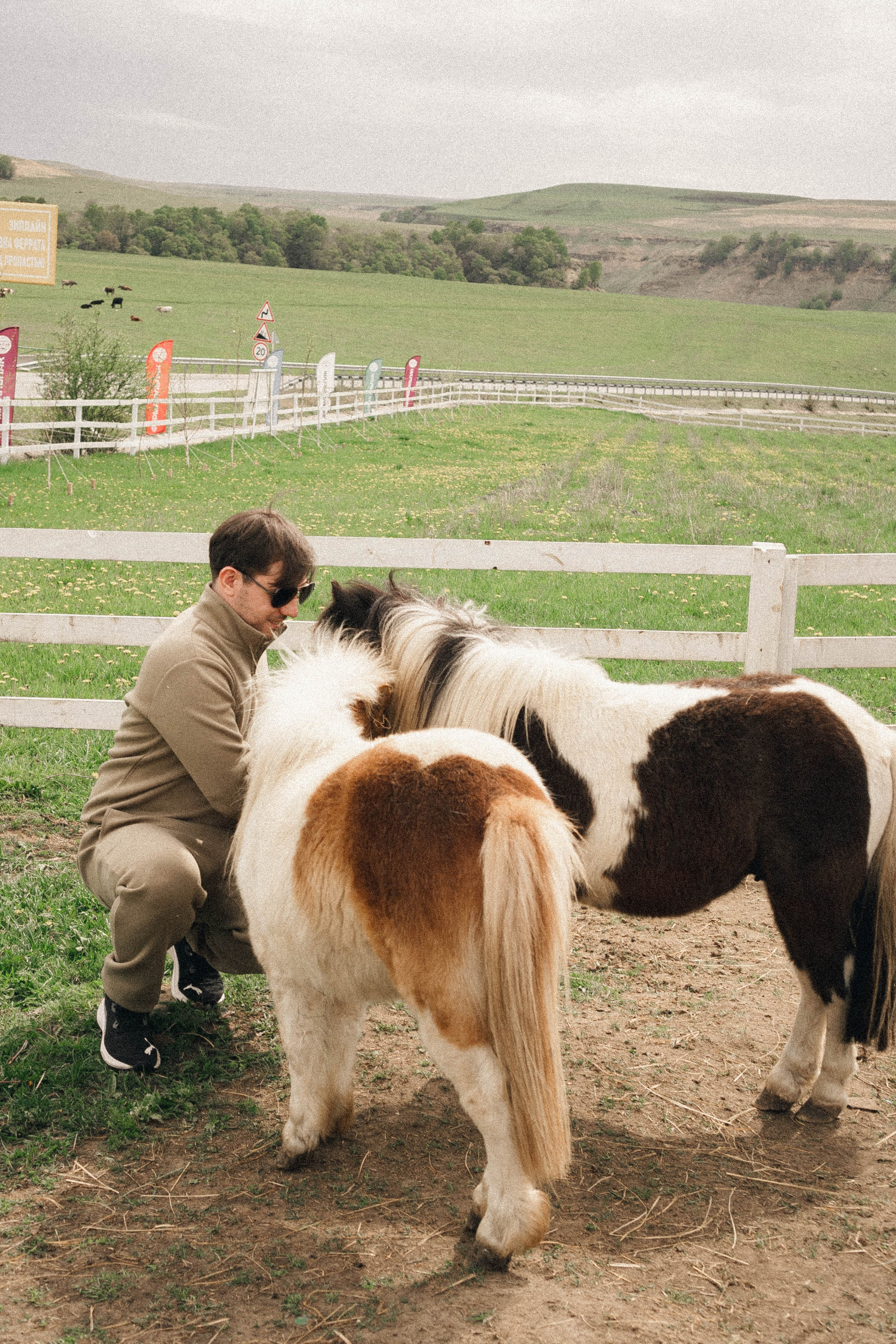 Ферма Альпак. Профессиональный фотограф, Санкт-Петербург — Виктория Богомолова