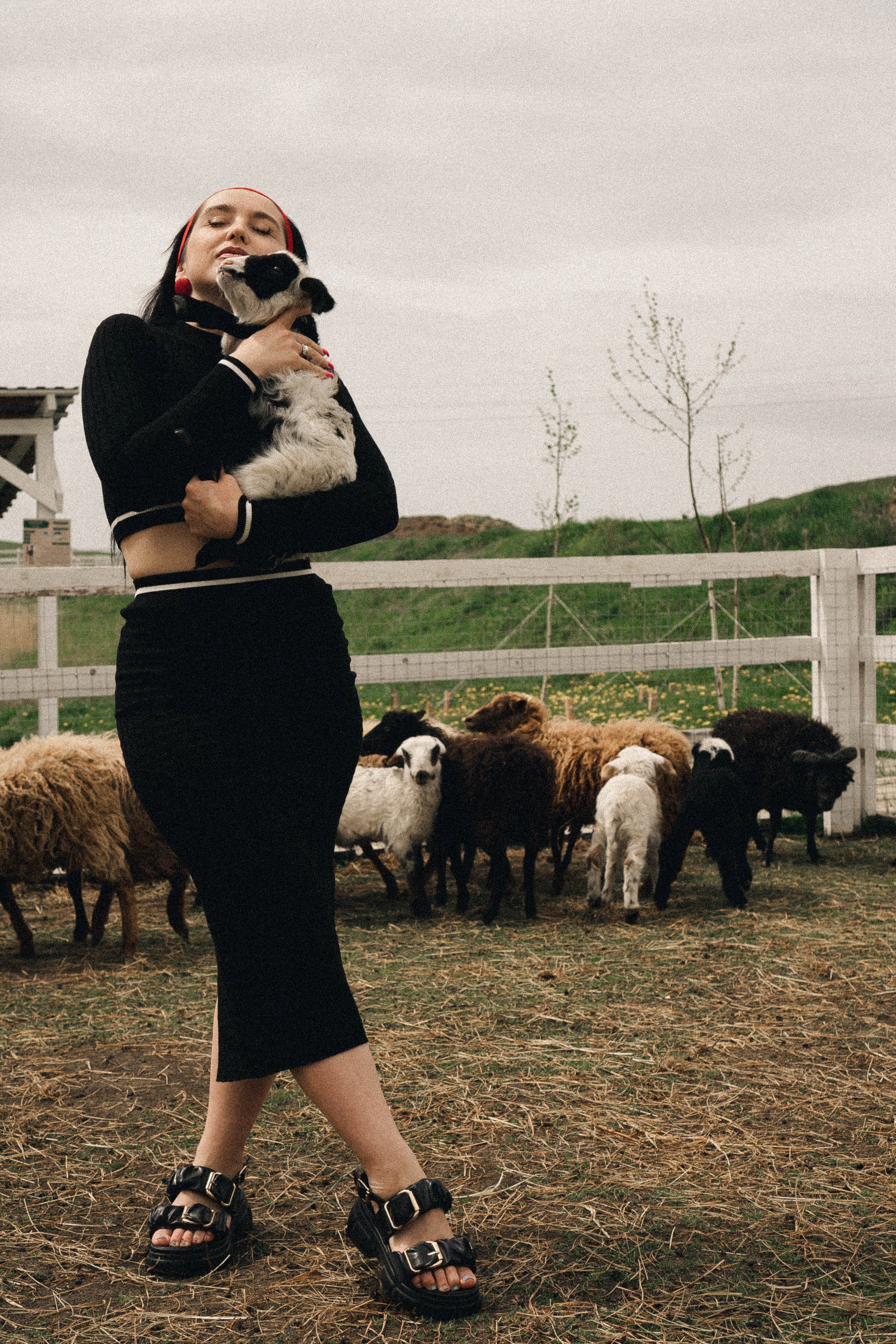 Ферма Альпак. Профессиональный фотограф, Санкт-Петербург — Виктория Богомолова