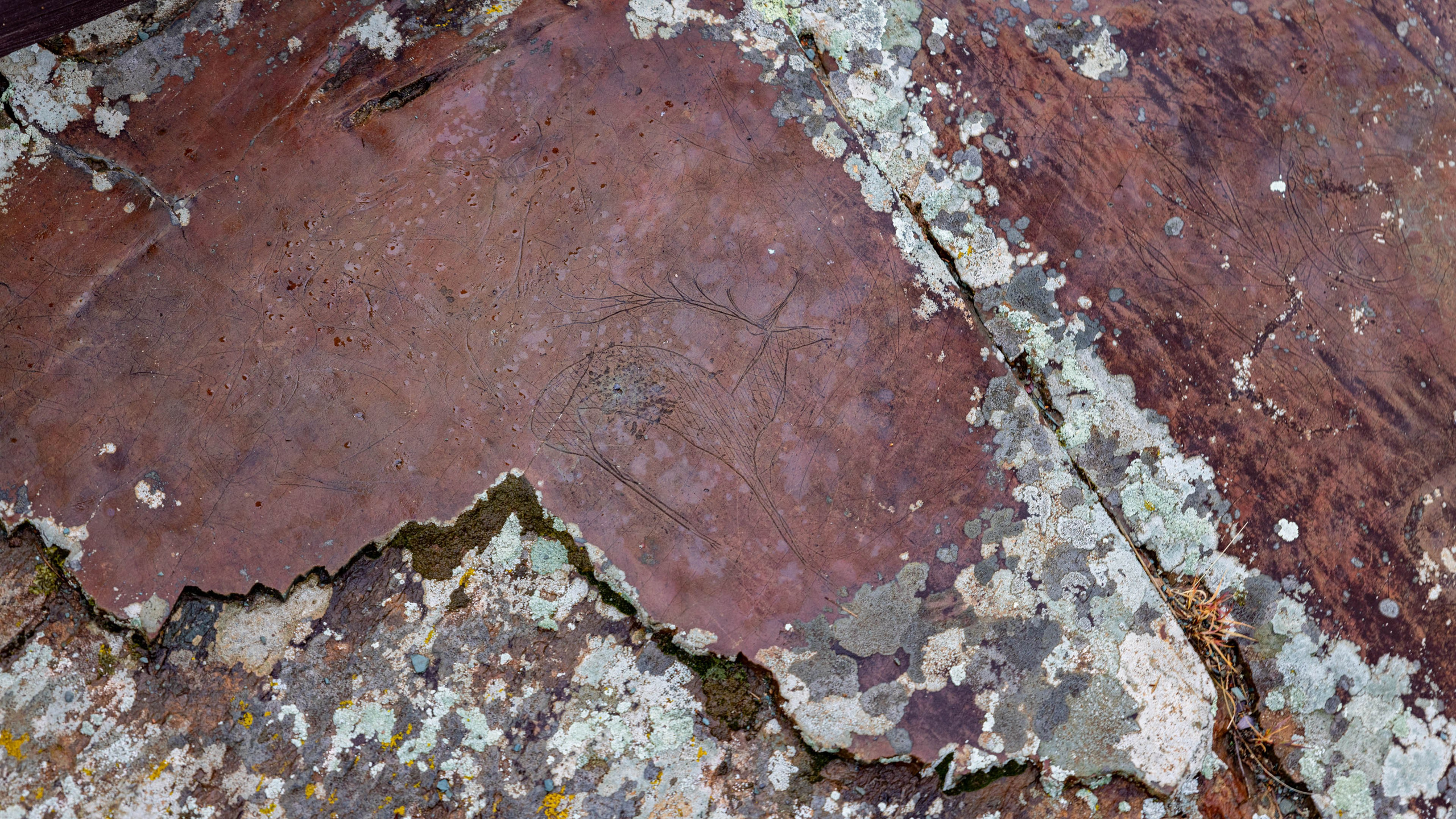 2025 09 Алтай. Чуйский тракт. Фотографии