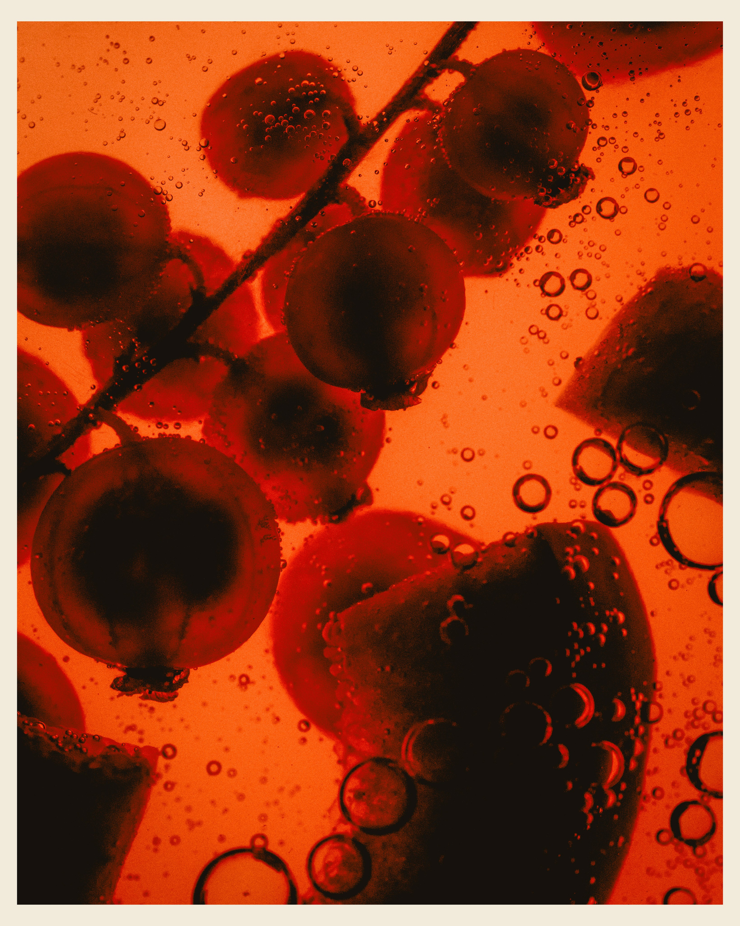 ATOMIC x VANO. Ivan Petrov photographer