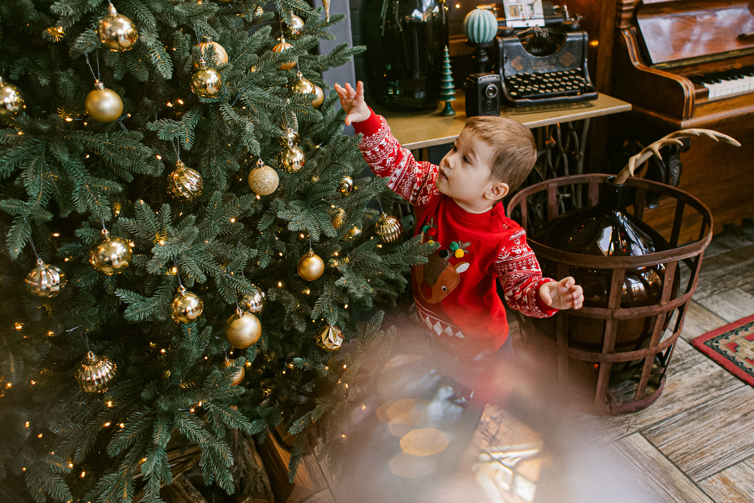 Сережа, Рома и Настя. Свадебный и семейный фотограф в Ростове-на-Дону Анастасия Арестова