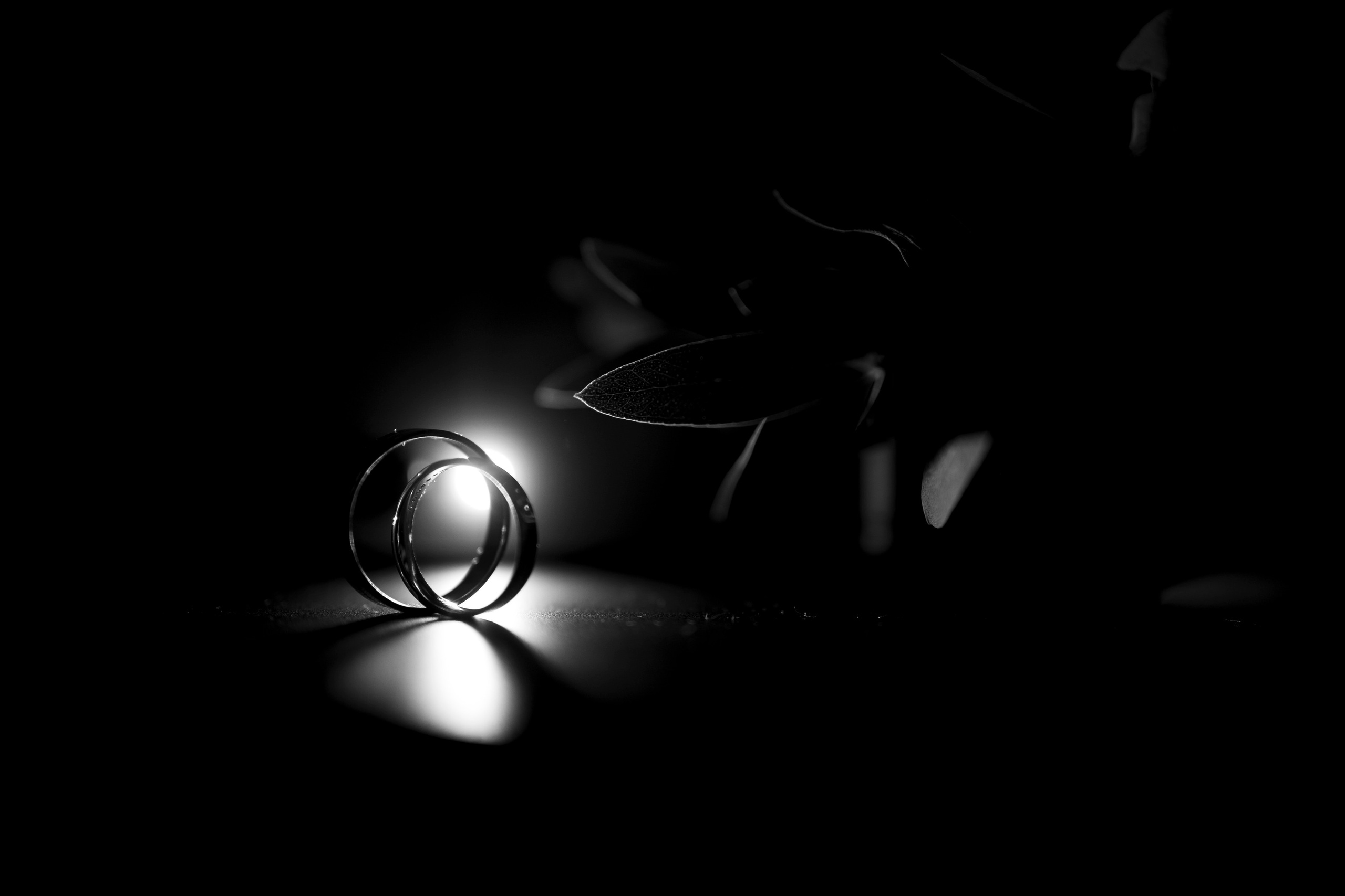 Илья и Елена. Свадебный и портретный фотограф Тюмень