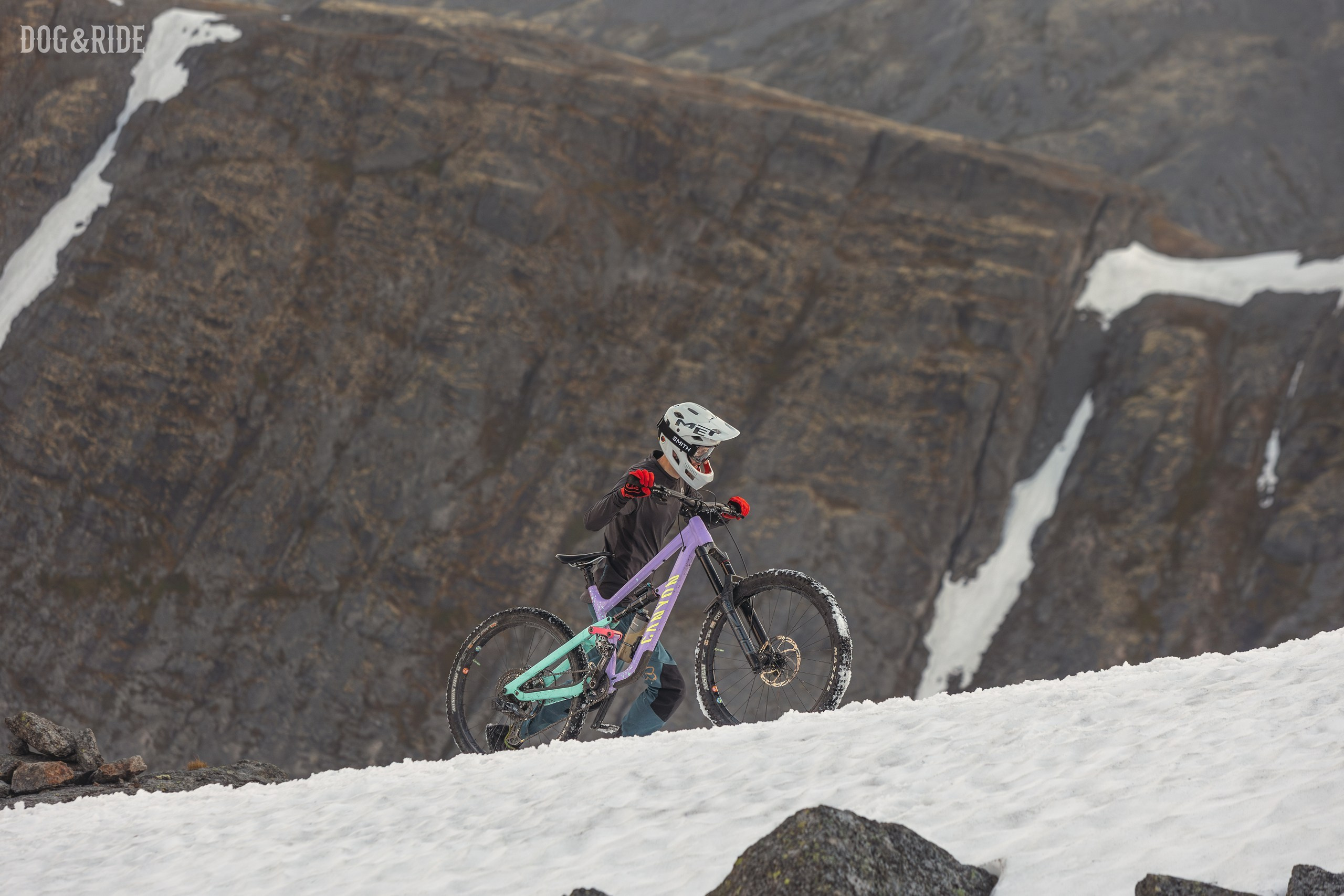 Хибины. Фотограф анималист Никита Натальный