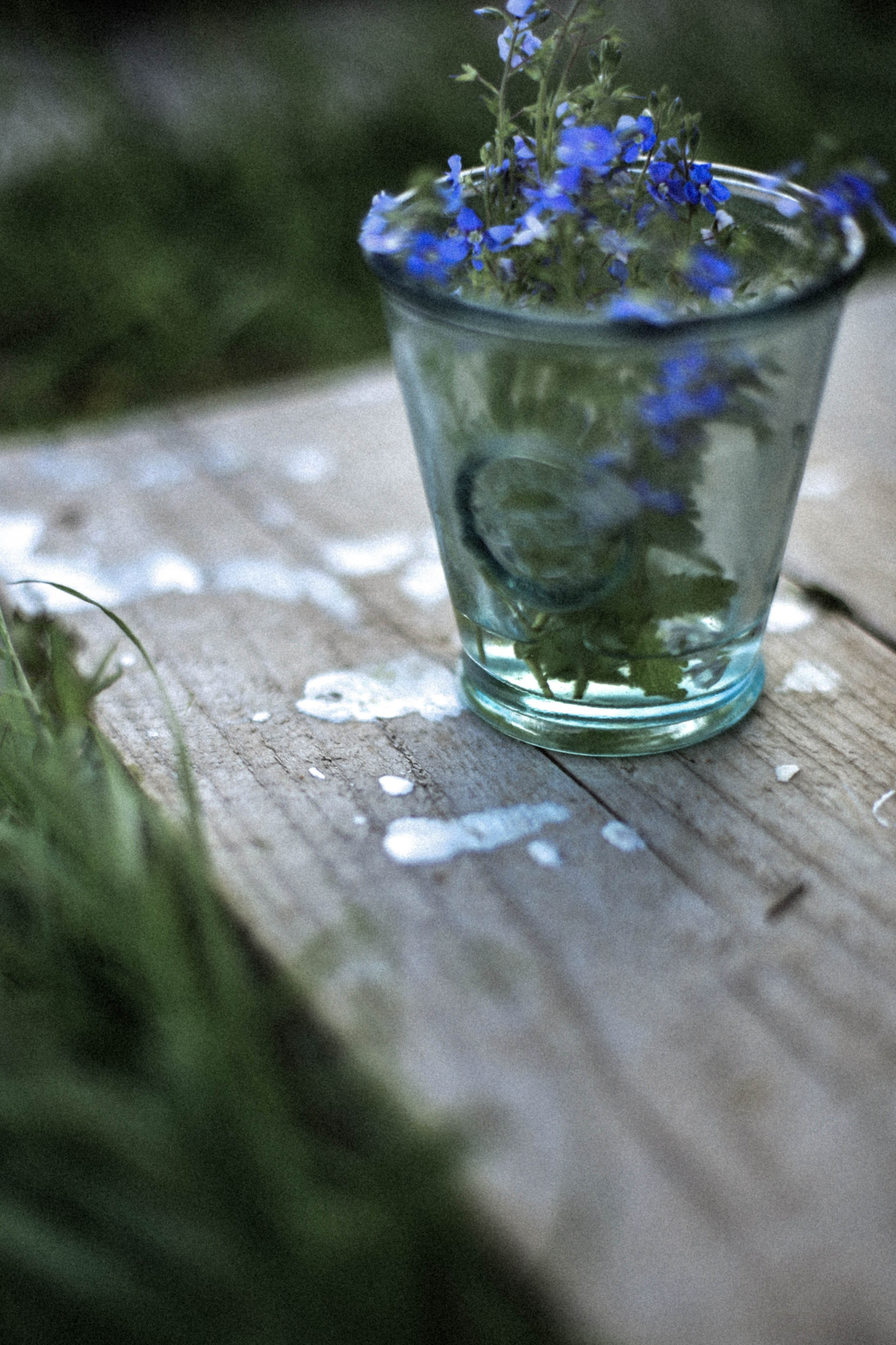 Курс «Психология на грядке». АRТ&PSY | Искусство психологии