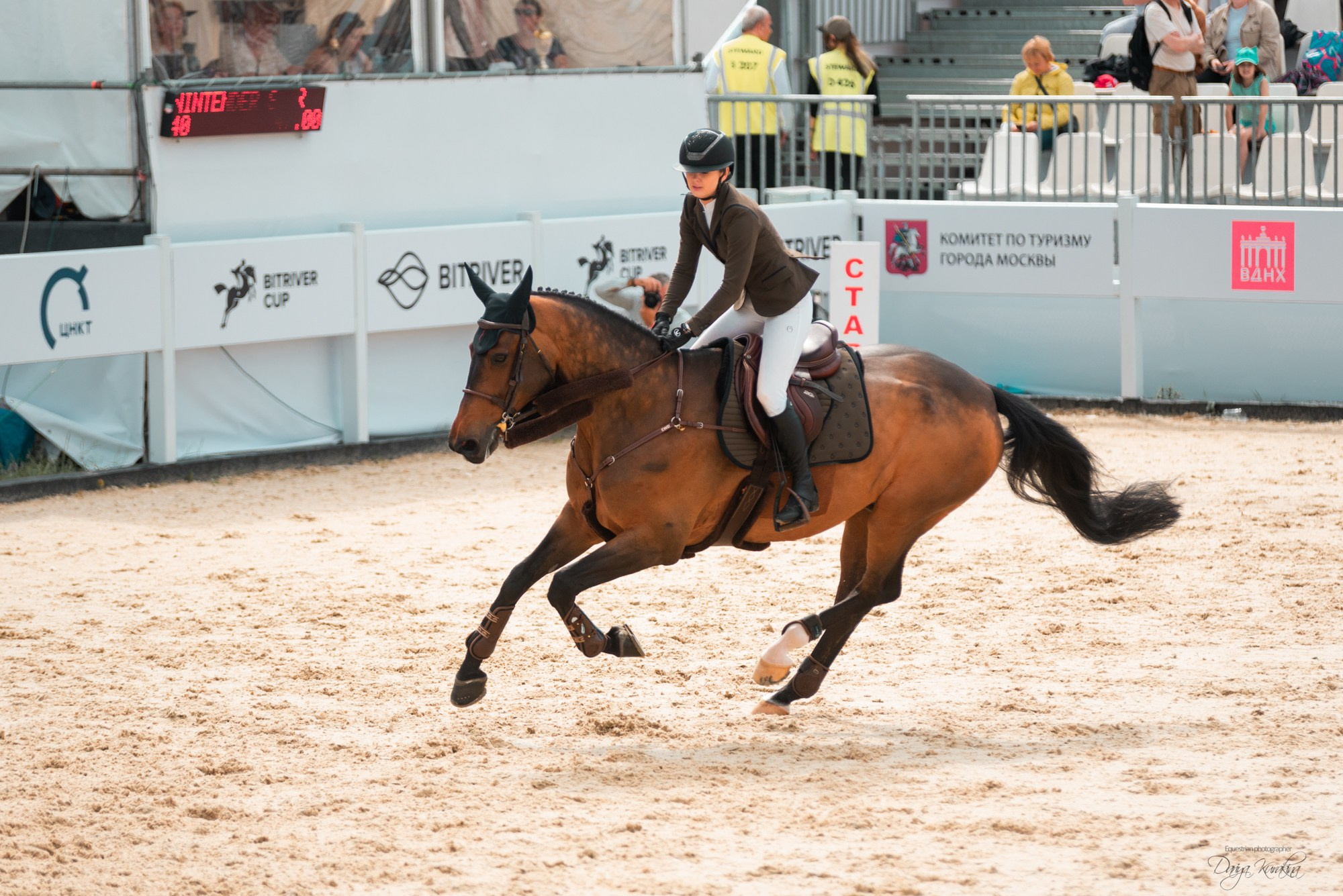 BITRIVER CUP 2023. Конный фотограф Куракина Дарья • Фотосессии с лошадьми