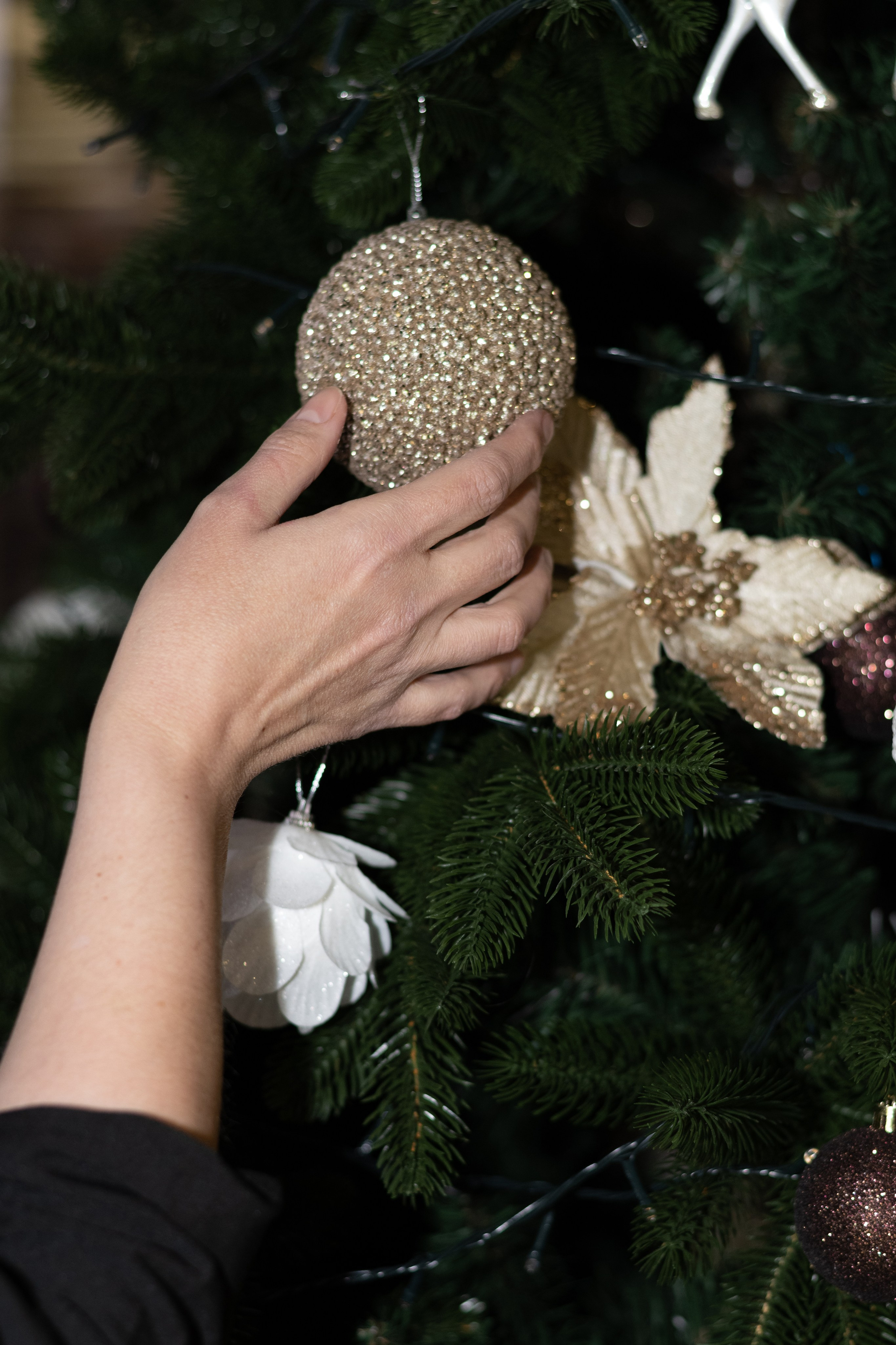 Новый Год 2025. Свадебный и семейный фотограф в Ставрополе Евгения Кузьмичева