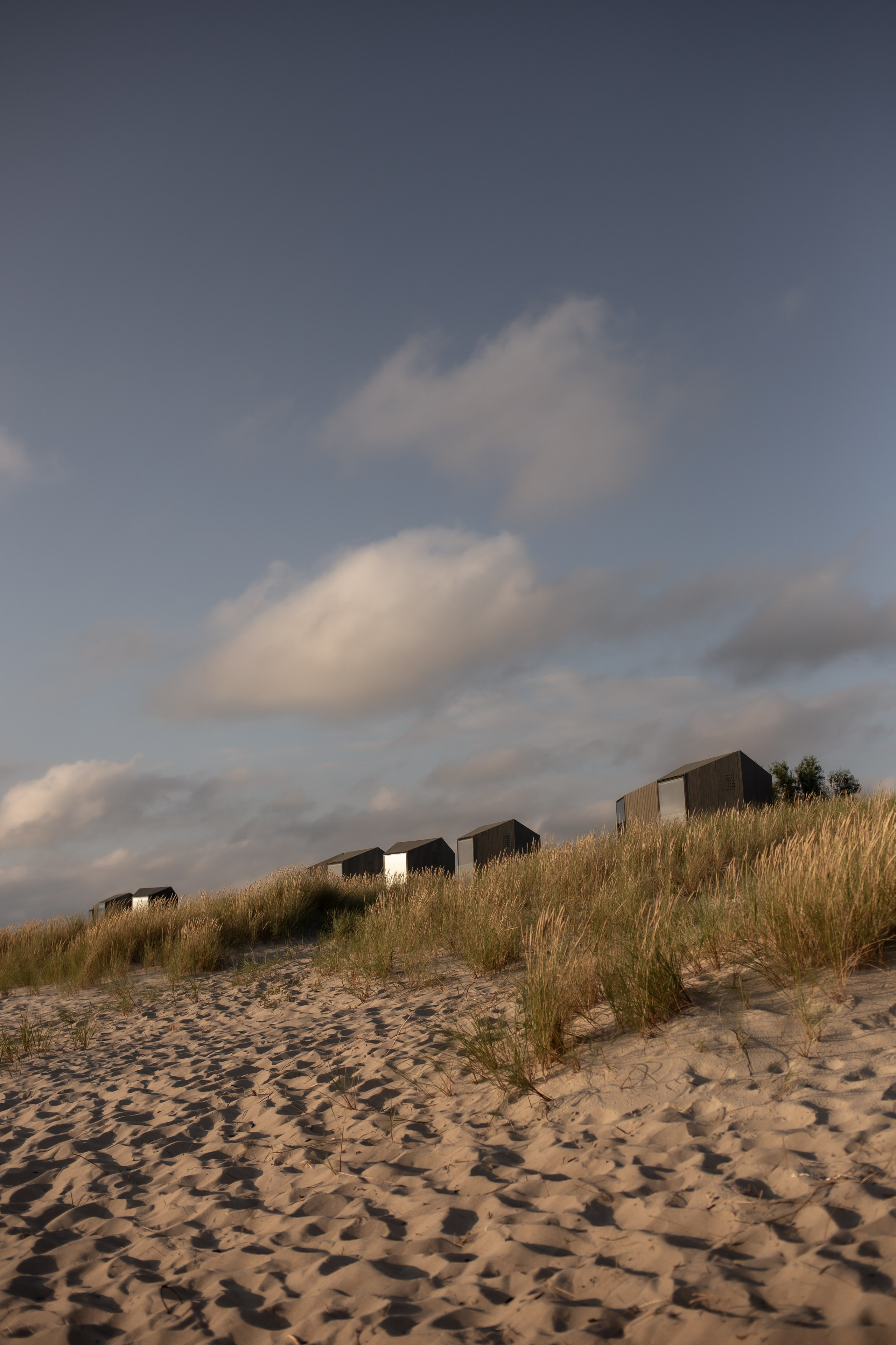 Елена и Никита. Фотограф в Калининграде Решетникова Алина