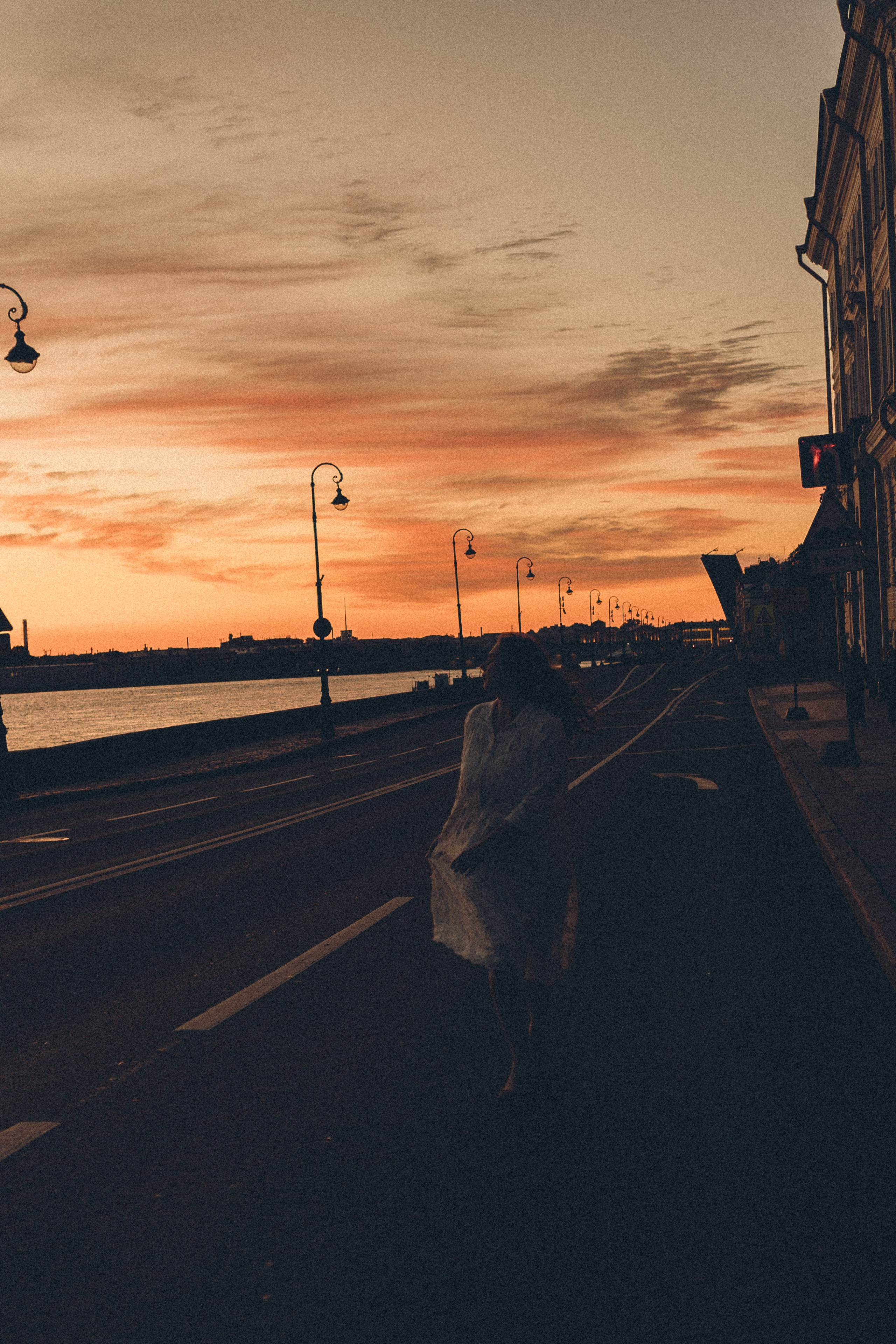 РАССВЕТ С РАЗВОДНЫМИ МОСТАМИ. Профессиональный фотограф, Санкт-Петербург — Виктория Богомолова