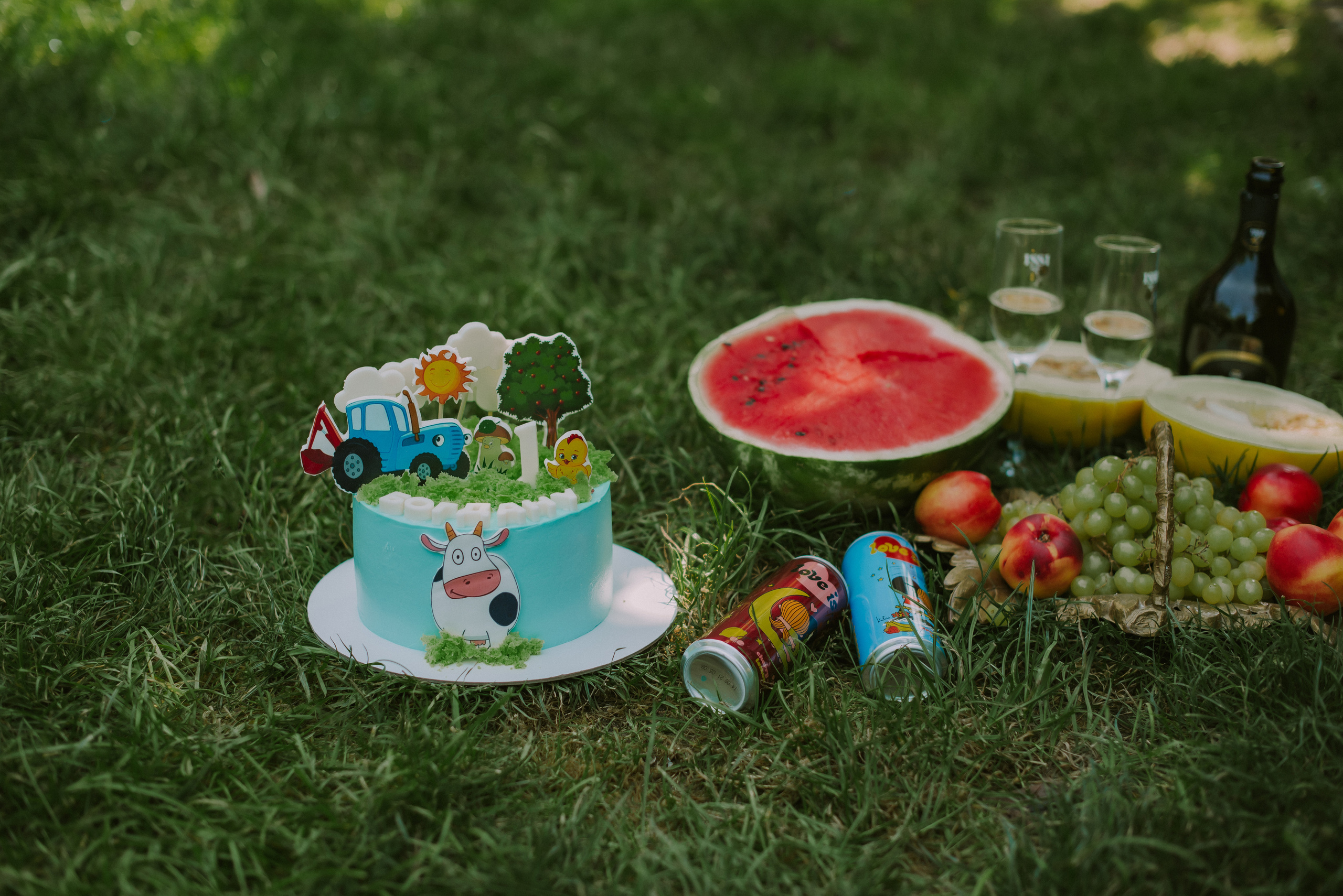 Семейный день рождения. Свадебный, женский, семейный фотограф в Севастополе Юлия Мошенко