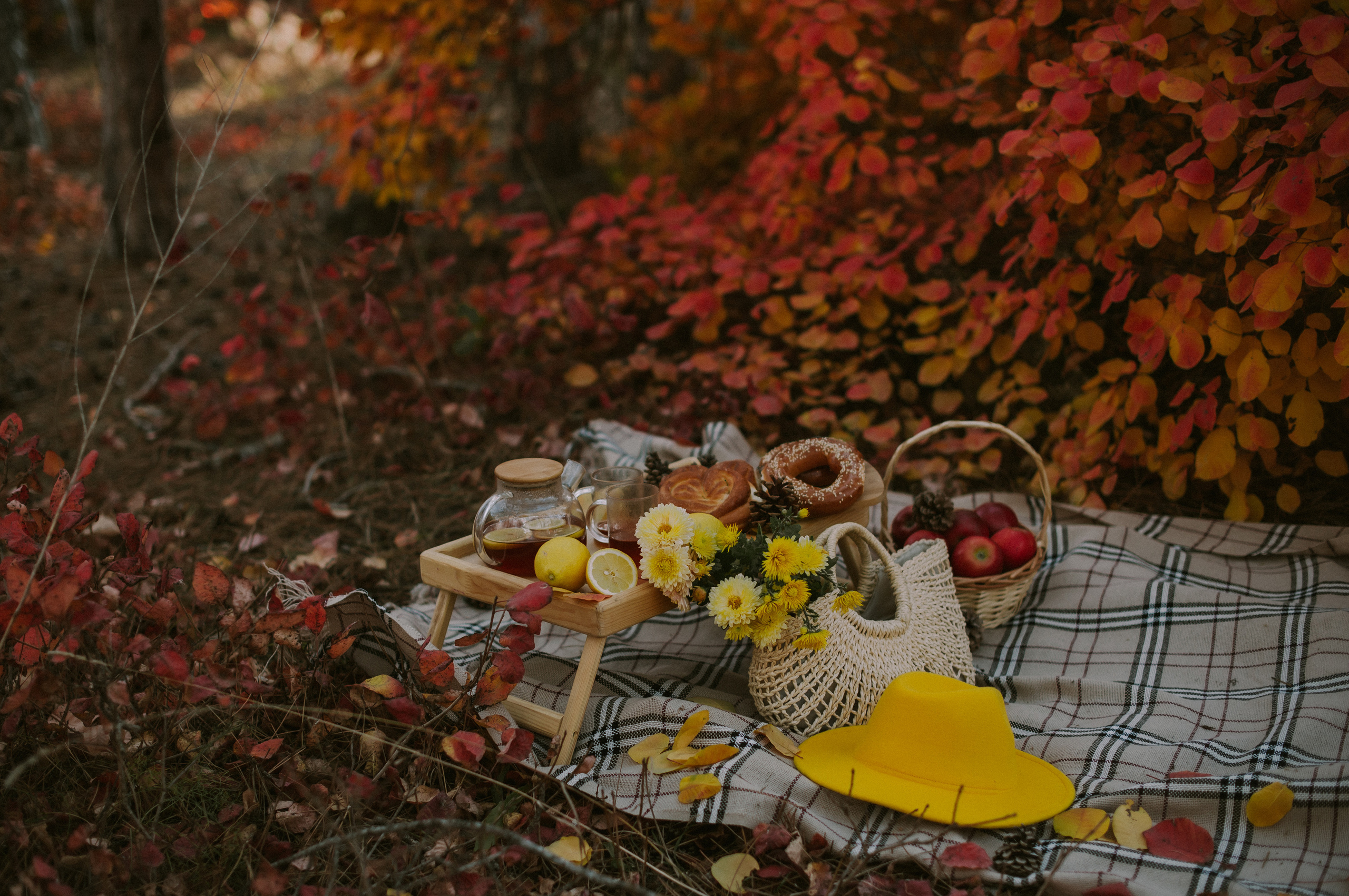 Осеннее чаепитие. Свадебный, женский, семейный фотограф в Севастополе Юлия Мошенко