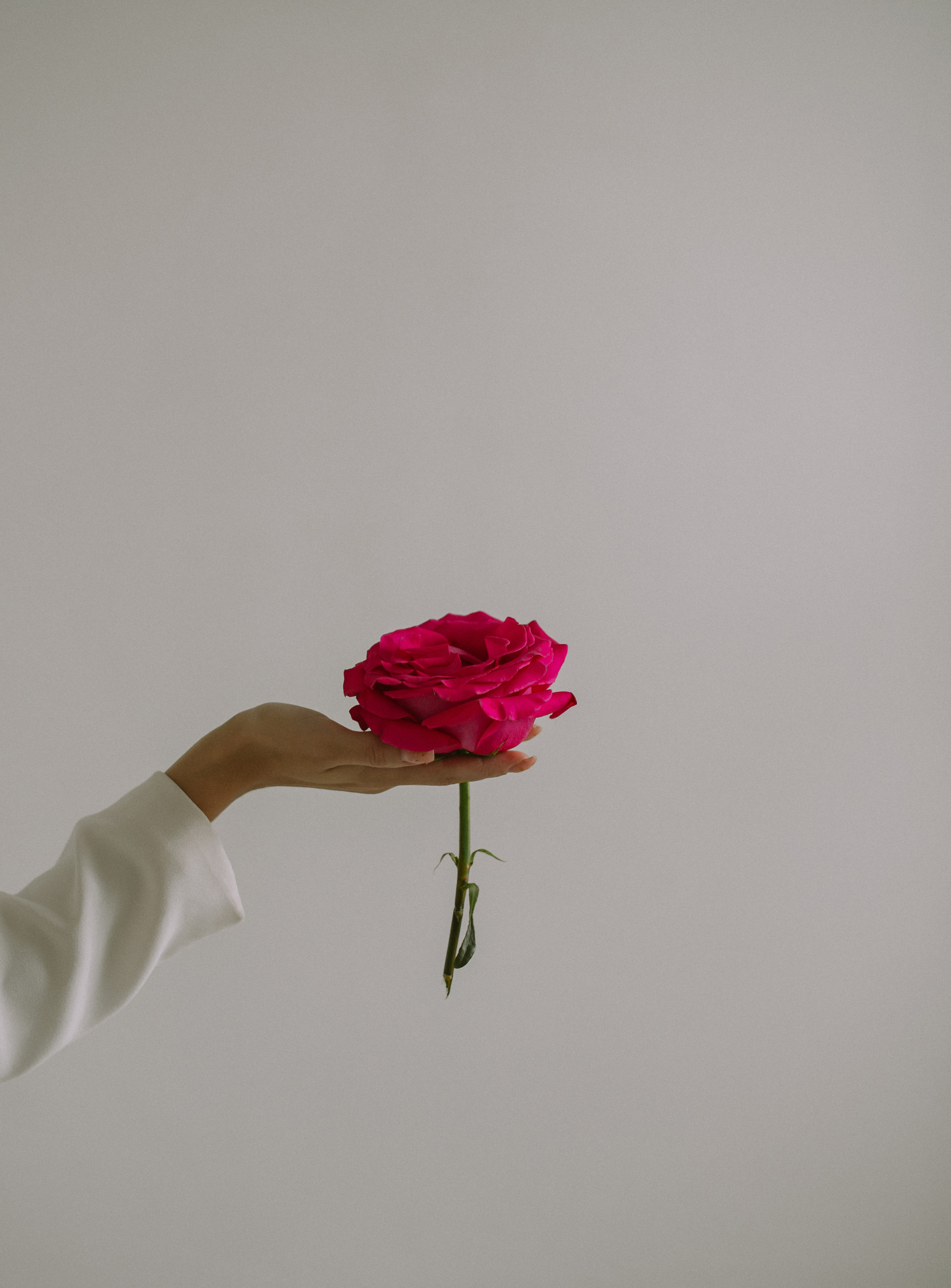 Лиза студия. Свадебный, женский, семейный фотограф в Севастополе Юлия Мошенко